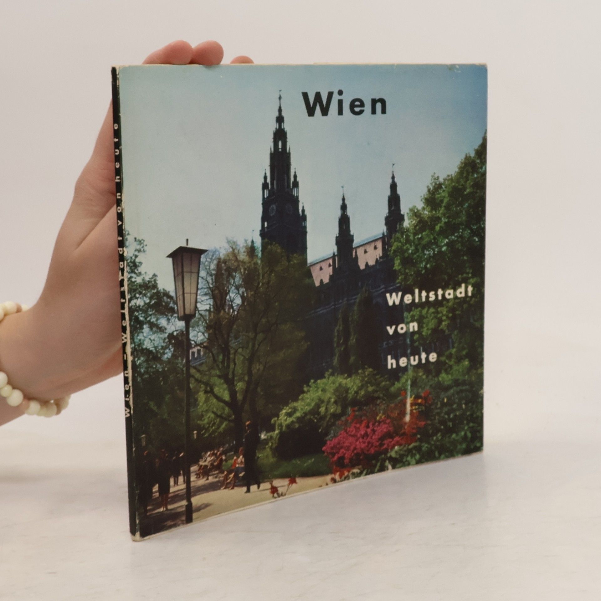 Autorenkollektiv Wien. Weltstadt von heute