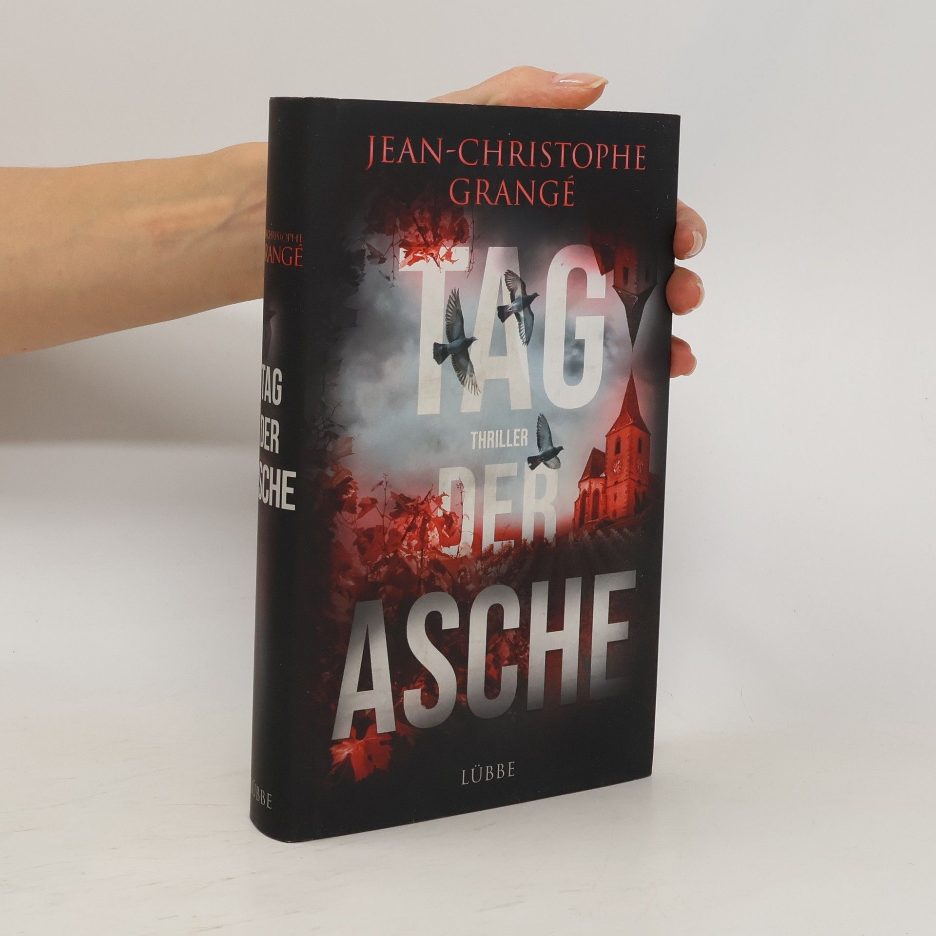 Jean Christophe Grangé Tag der Asche