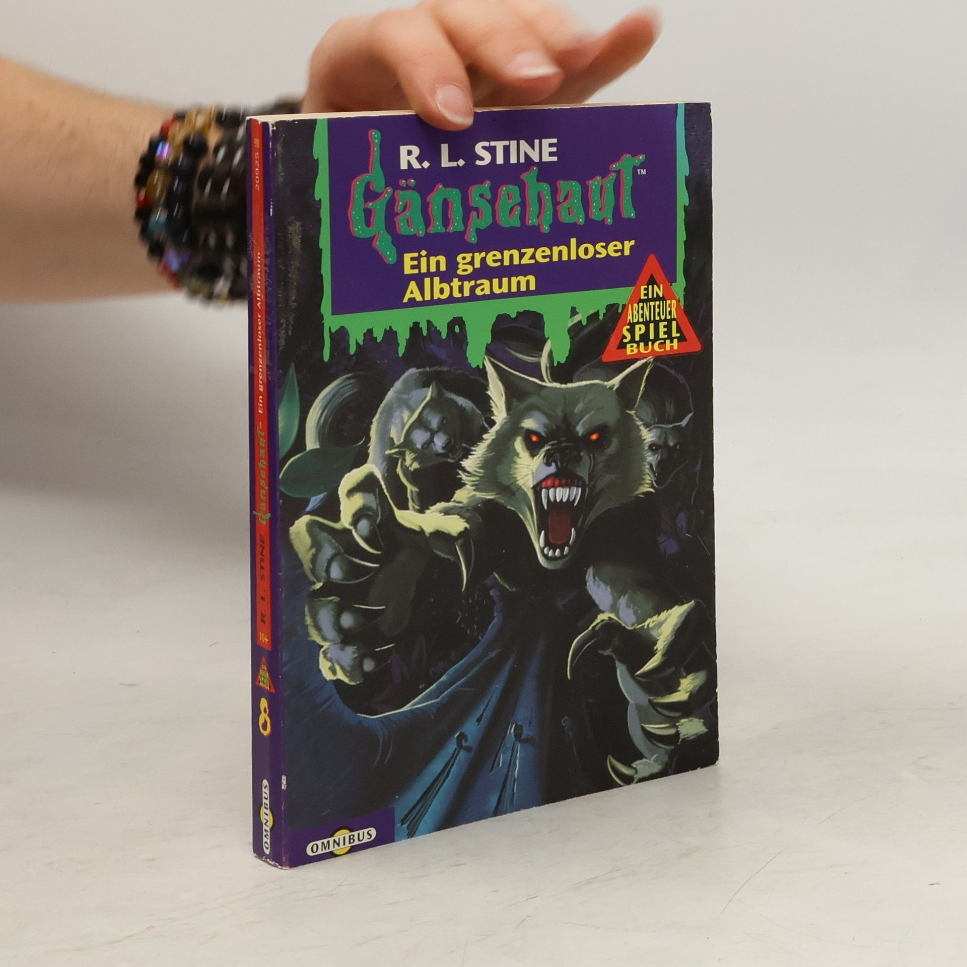 R. L. Stine Ein grenzenloser Albtraum