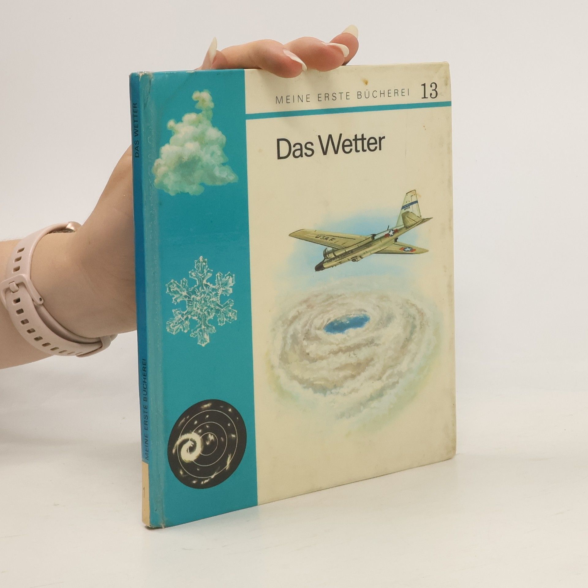 Collectif d'auteurs Das Wetter