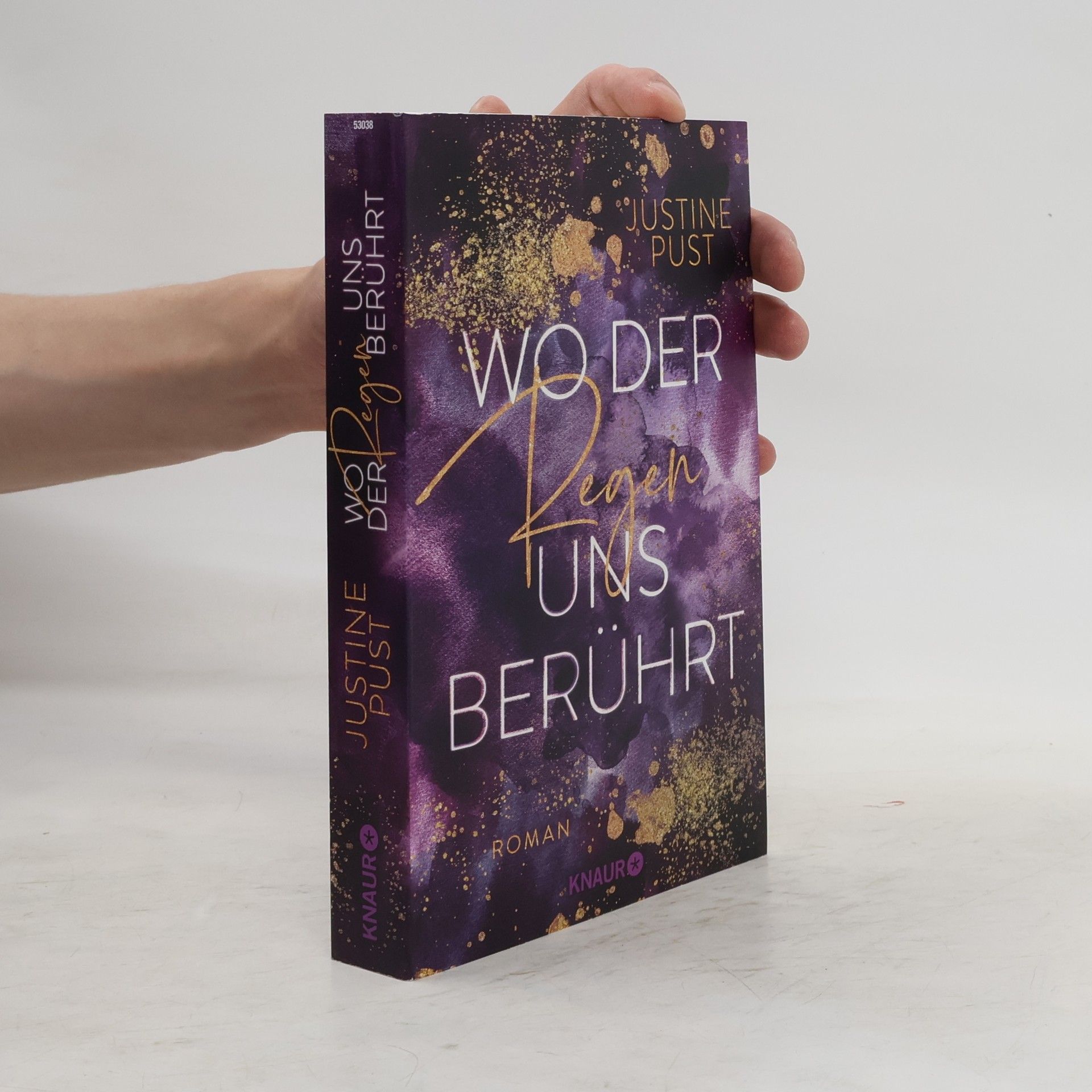 Justine Pust Wo der Regen uns berührt / Die Skyline-Reihe Bd.2