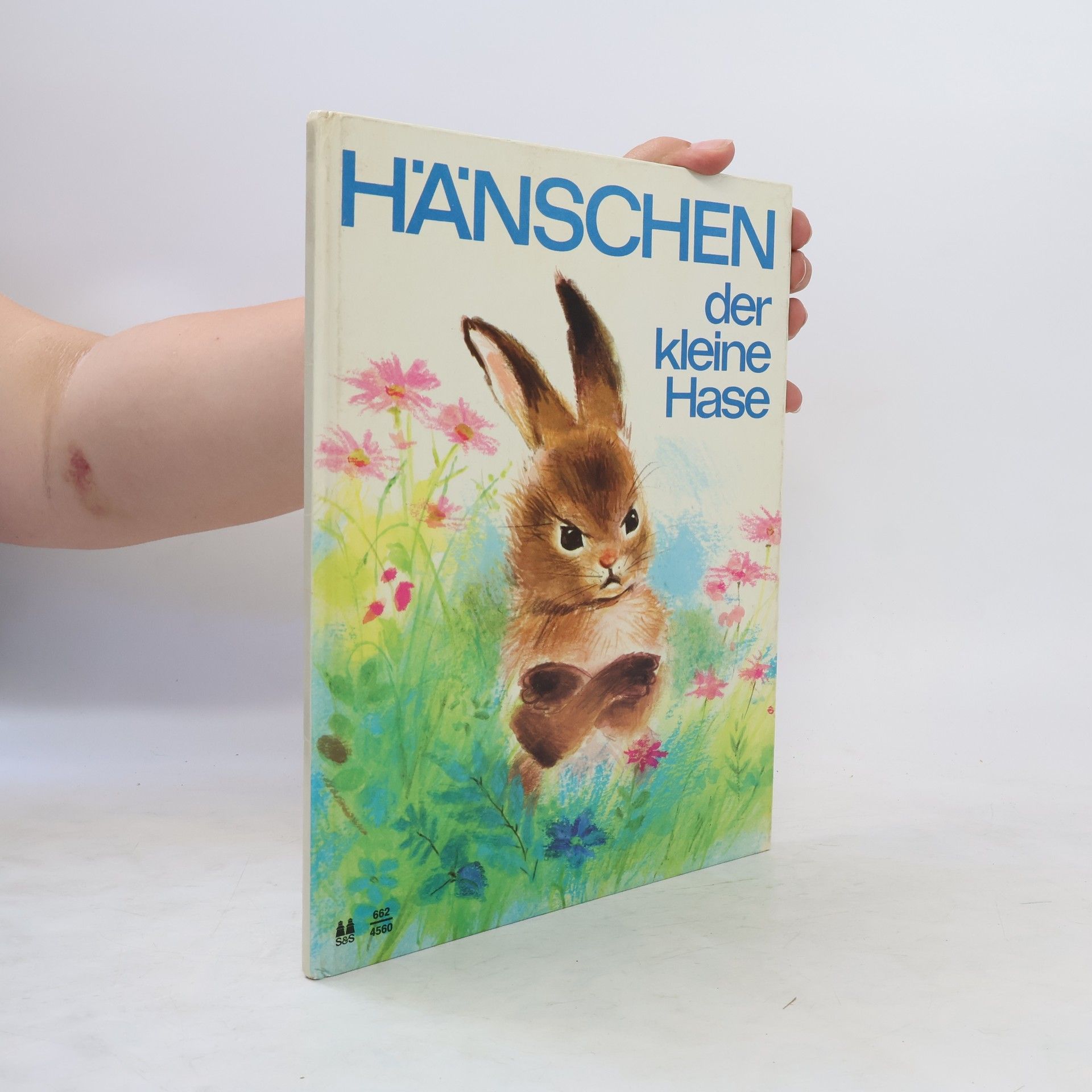 kolektiv Hänschen der kleine Hase