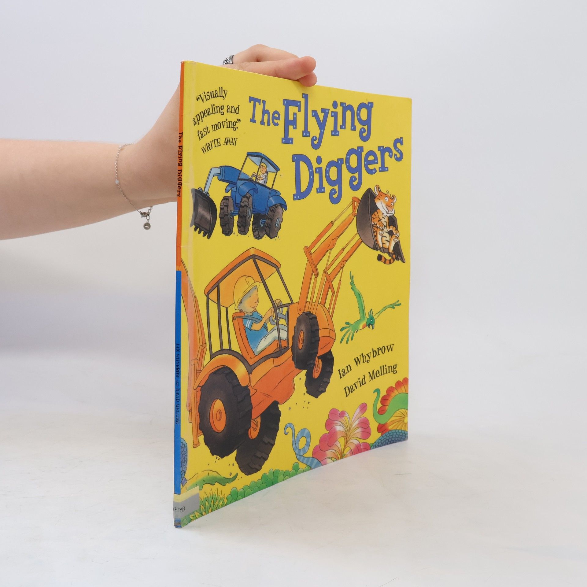 David Melling The Flying Diggers