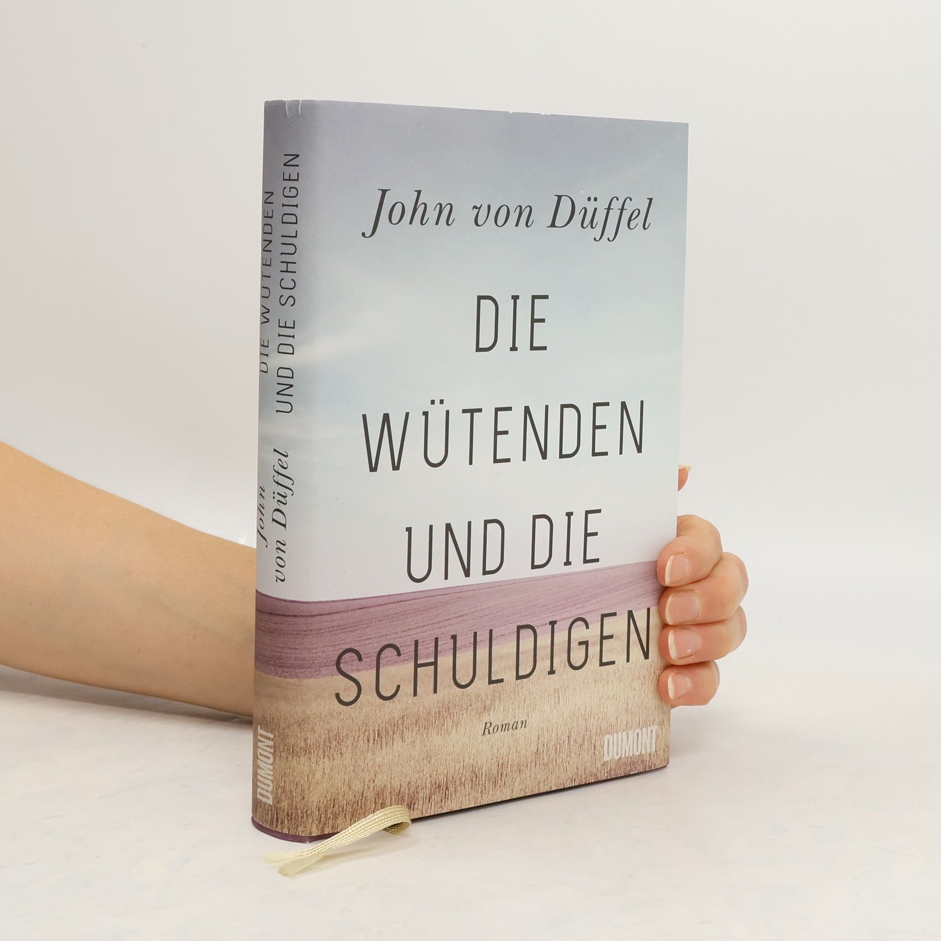 John von Düffel Die Wütenden und die Schuldigen : Roman