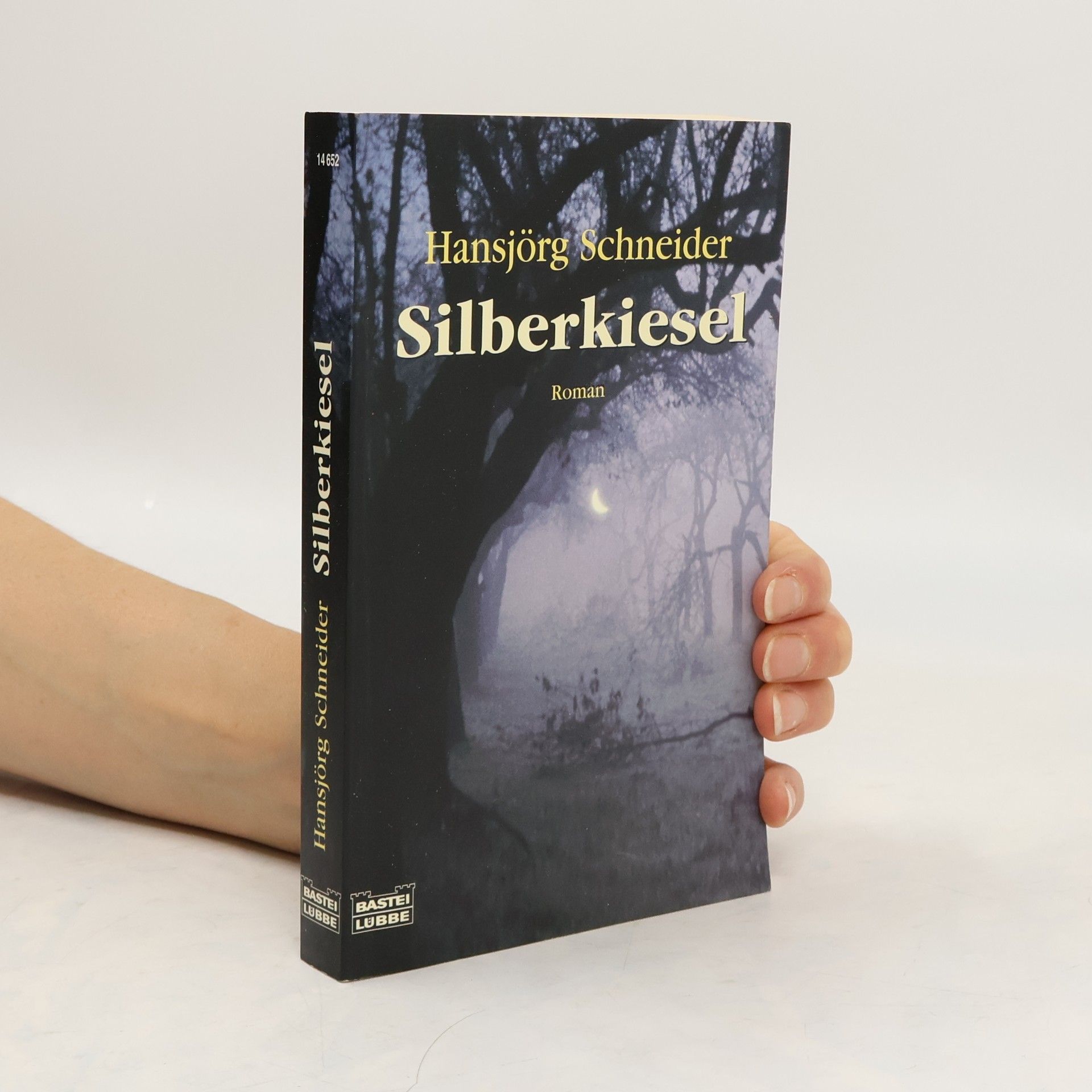 Hansjörg Schneider Silberkiesel