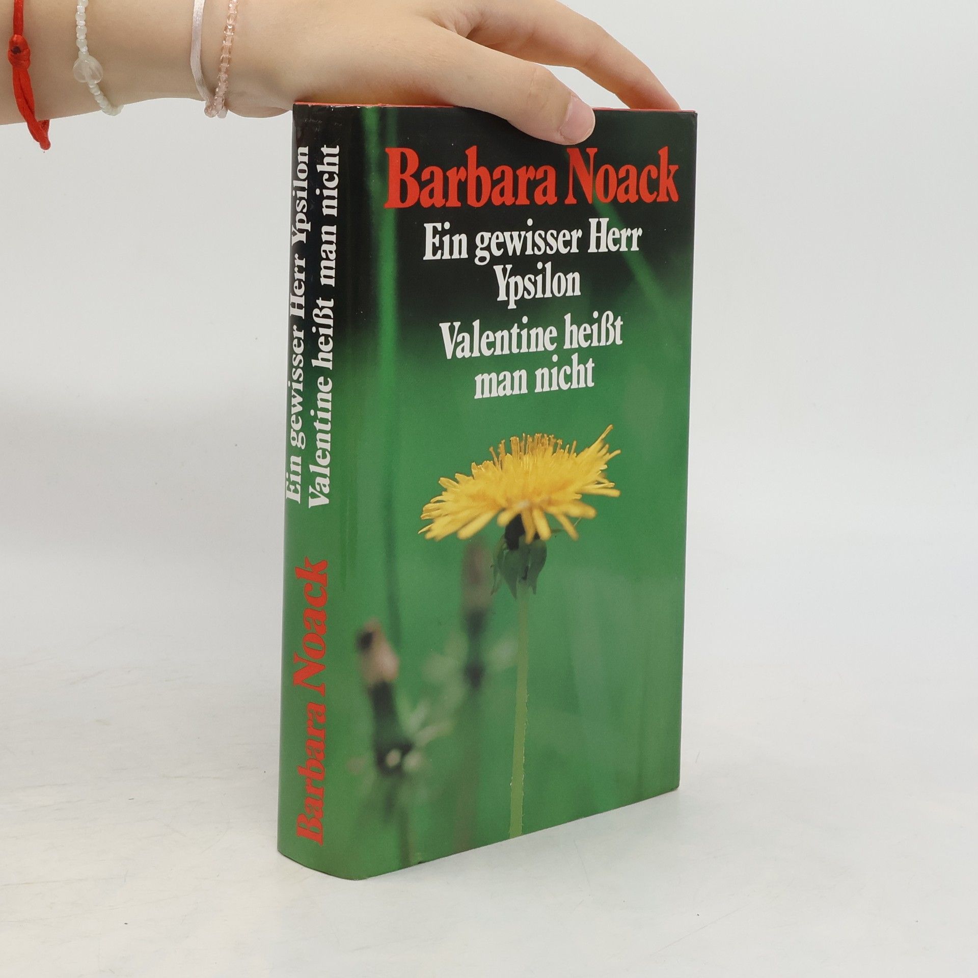 Barbara Noack Ein gewisser Herr Ypsilon