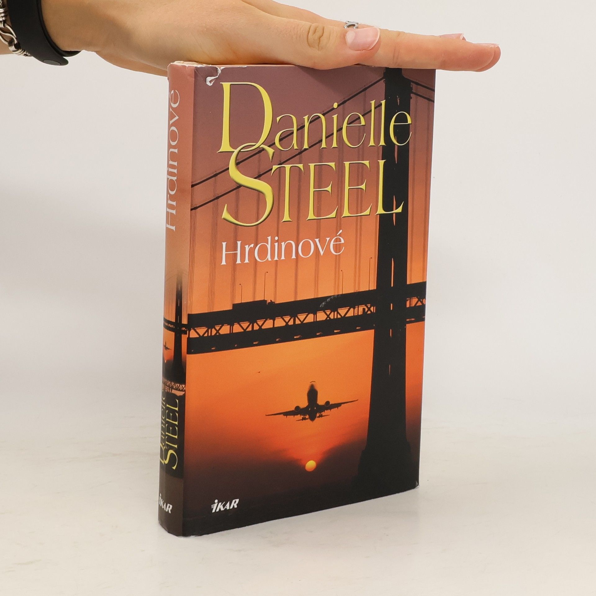 Danielle Steel Hrdinové