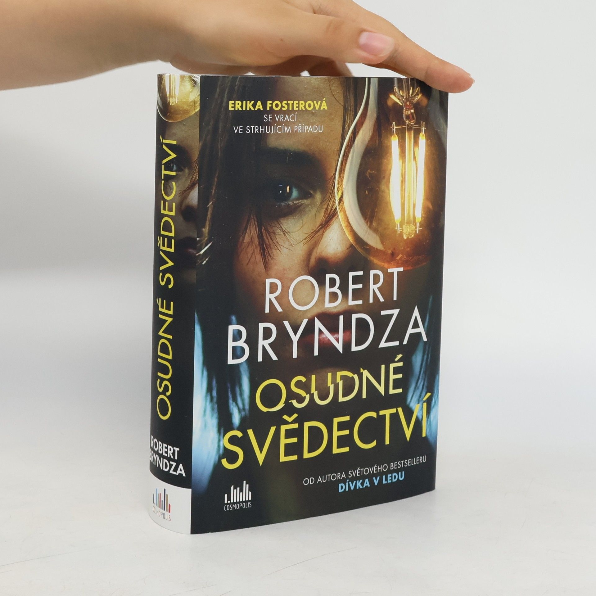 Robert Bryndza Osudné svědectví