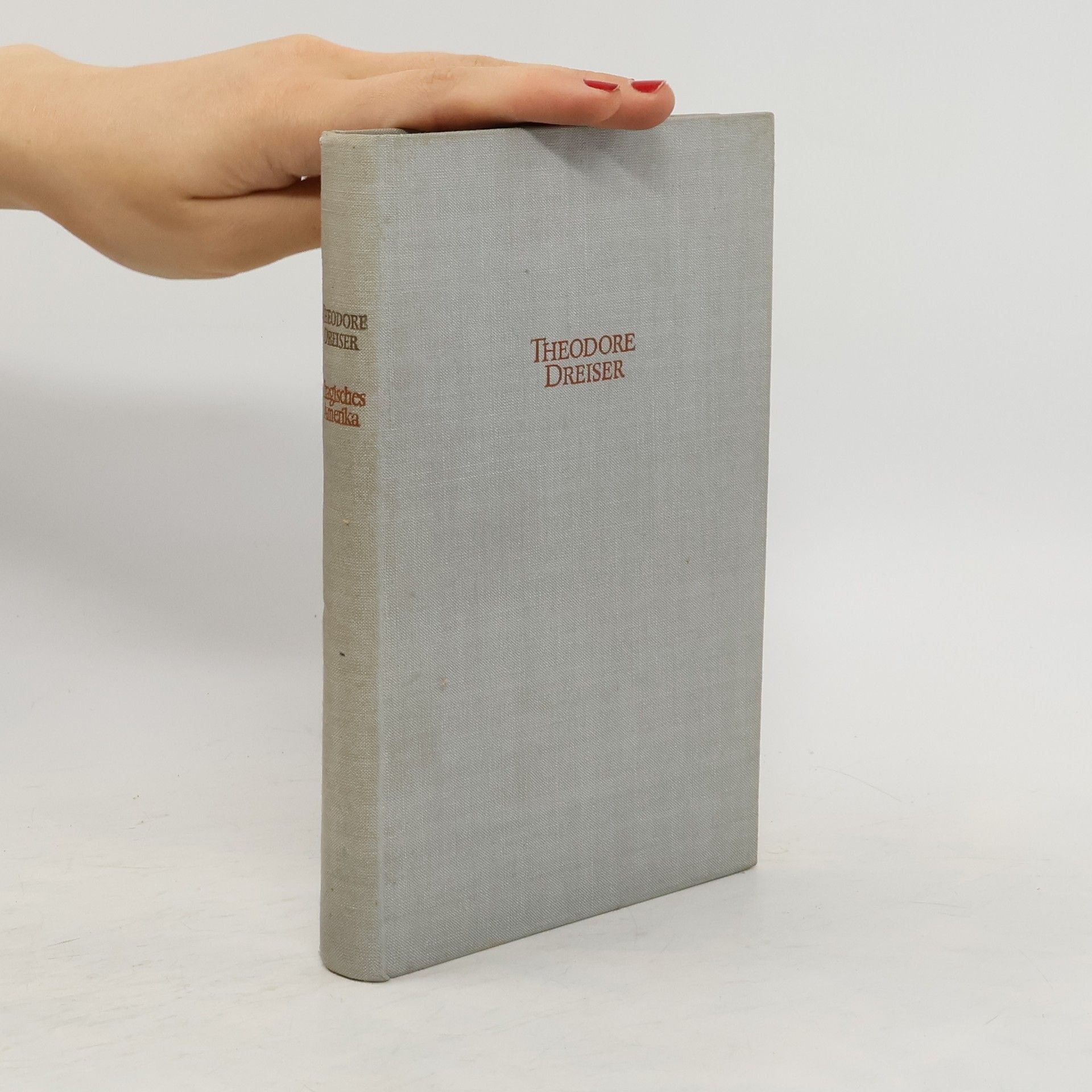 Theodore Dreiser Tragisches Amerika