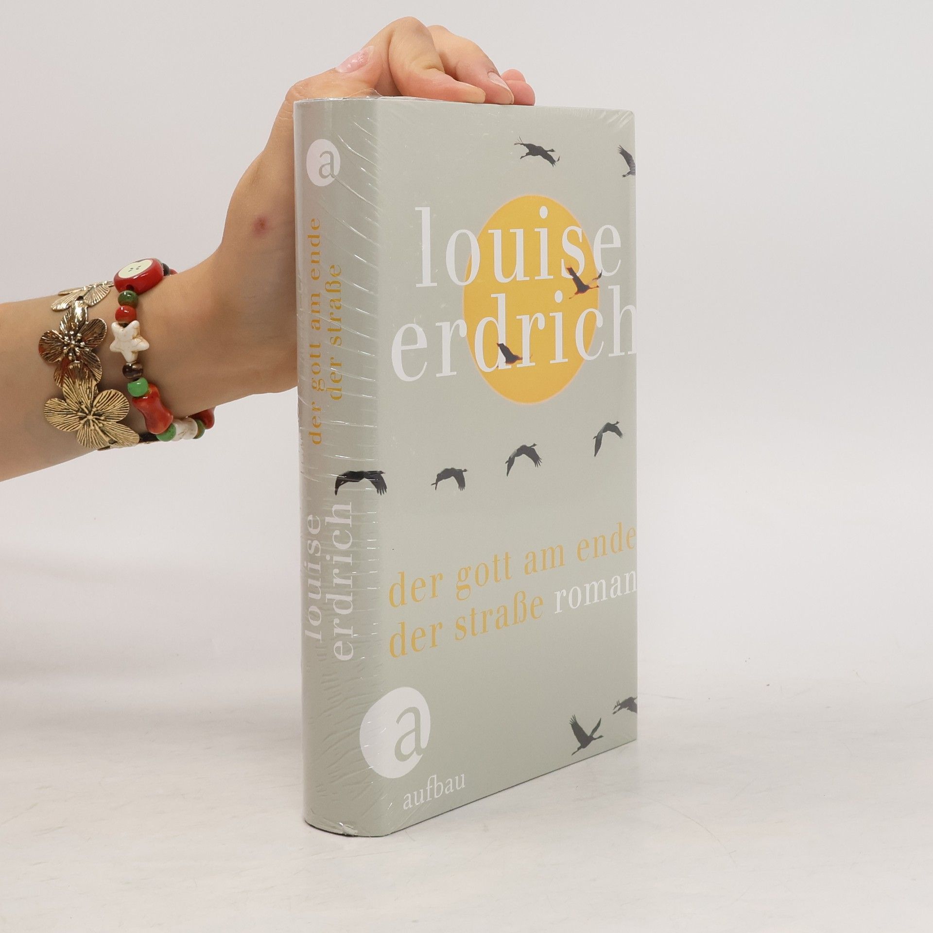 Louise Erdrich Der Gott am Ende der Straße