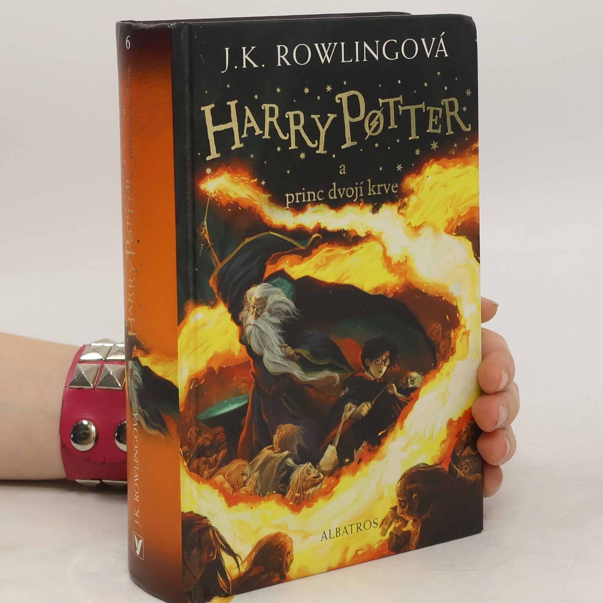 Pavel Medek Harry Potter a princ dvojí krve