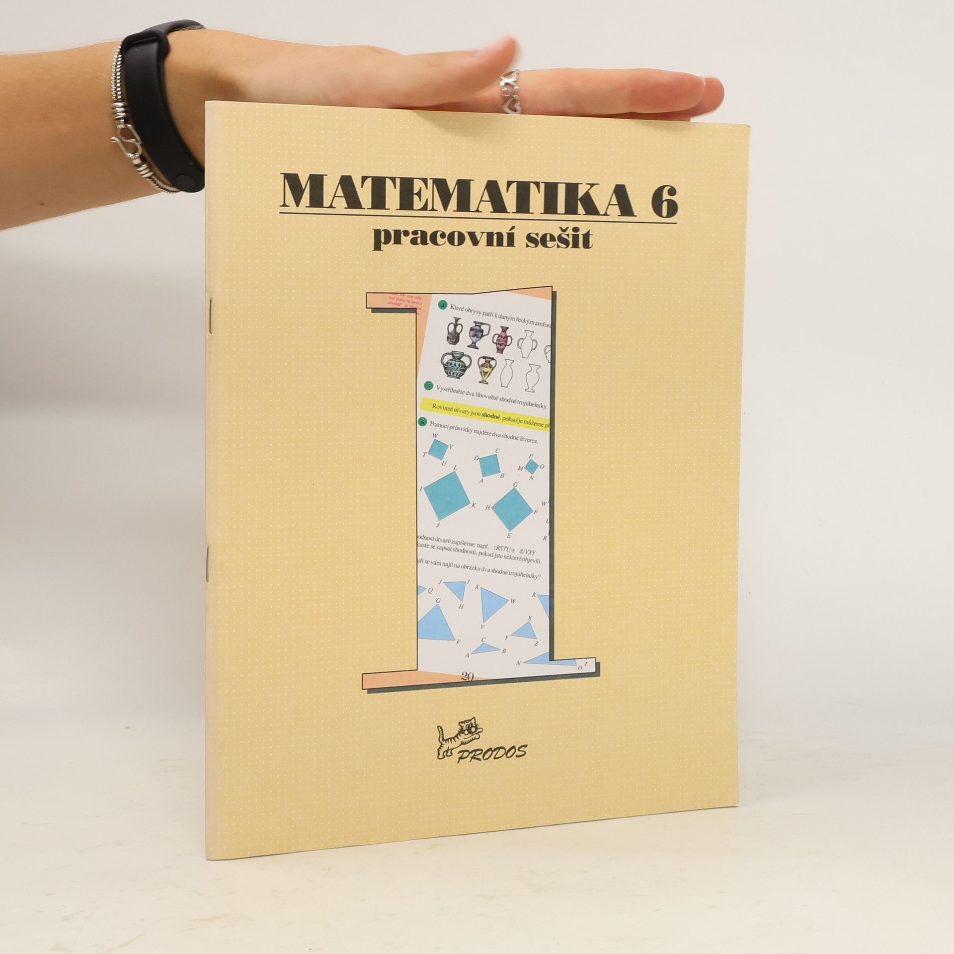 Slouka Jan Matematika 6 – pracovní sešit 1