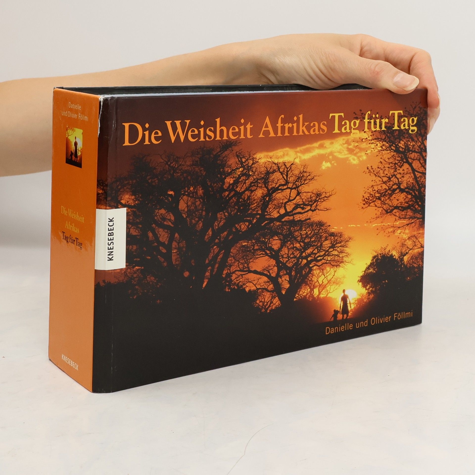 Danielle Föllmi Die Weisheit Afrikas Tag für Tag
