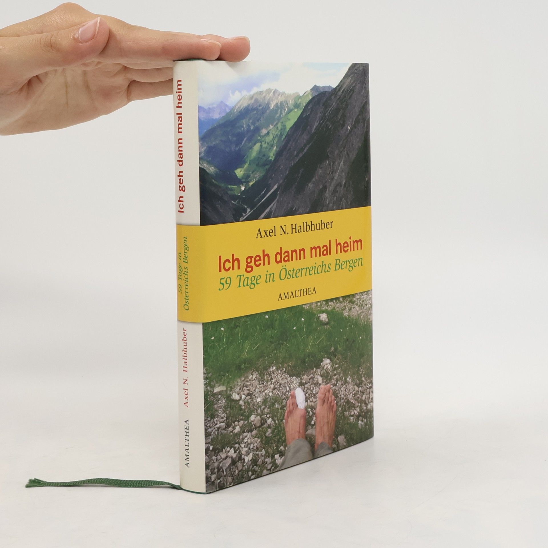 Ich geh dann mal heim : 59 Tage in Österreichs Bergen