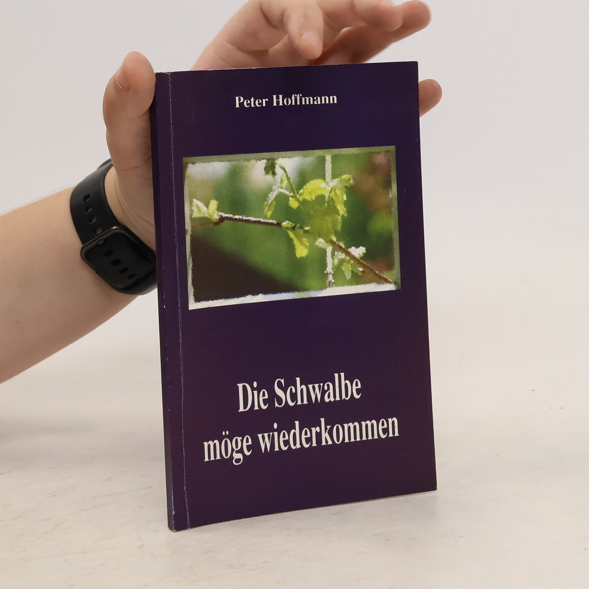 Peter Hoffmann Die Schwalbe möge wiederkommen