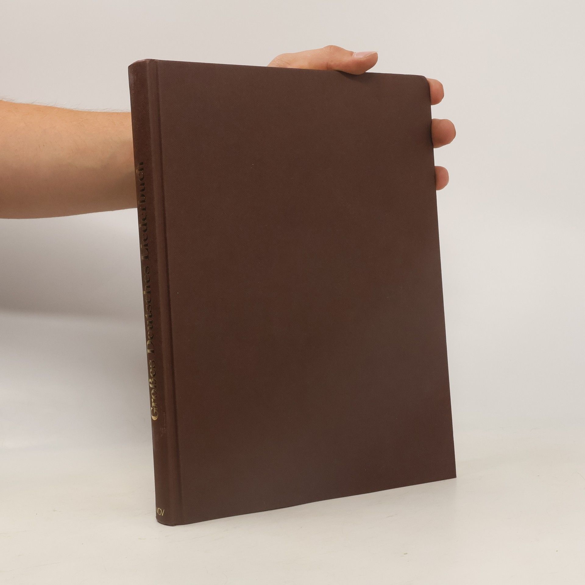 Monika Koster Großes deutsches Liederbuch