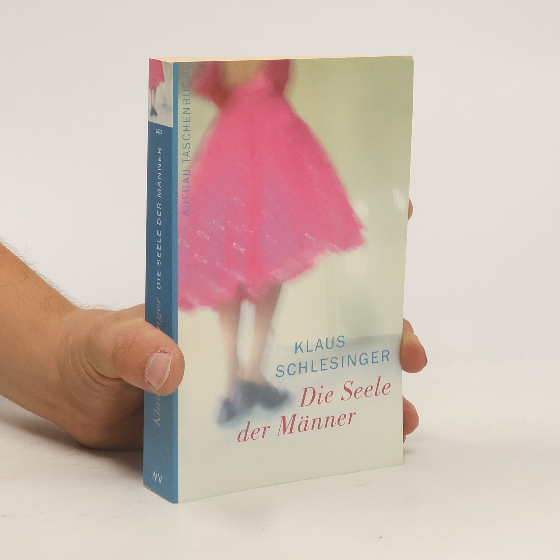 Klaus Schlesinger Die Seele der Männer