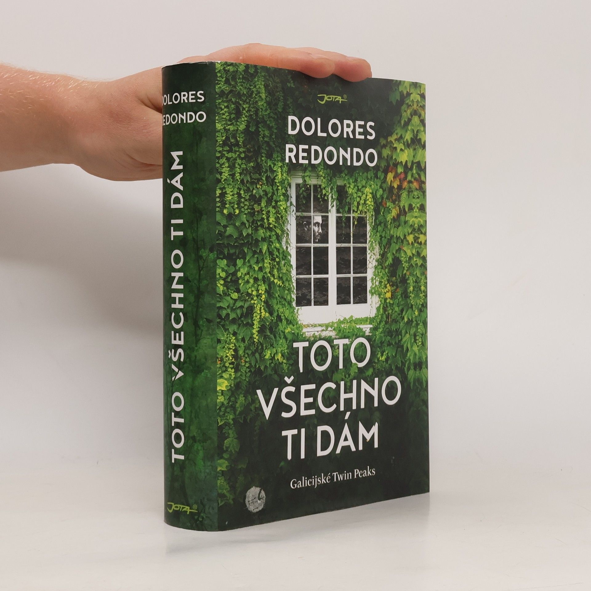 Dolores Redondo Toto všechno ti dám