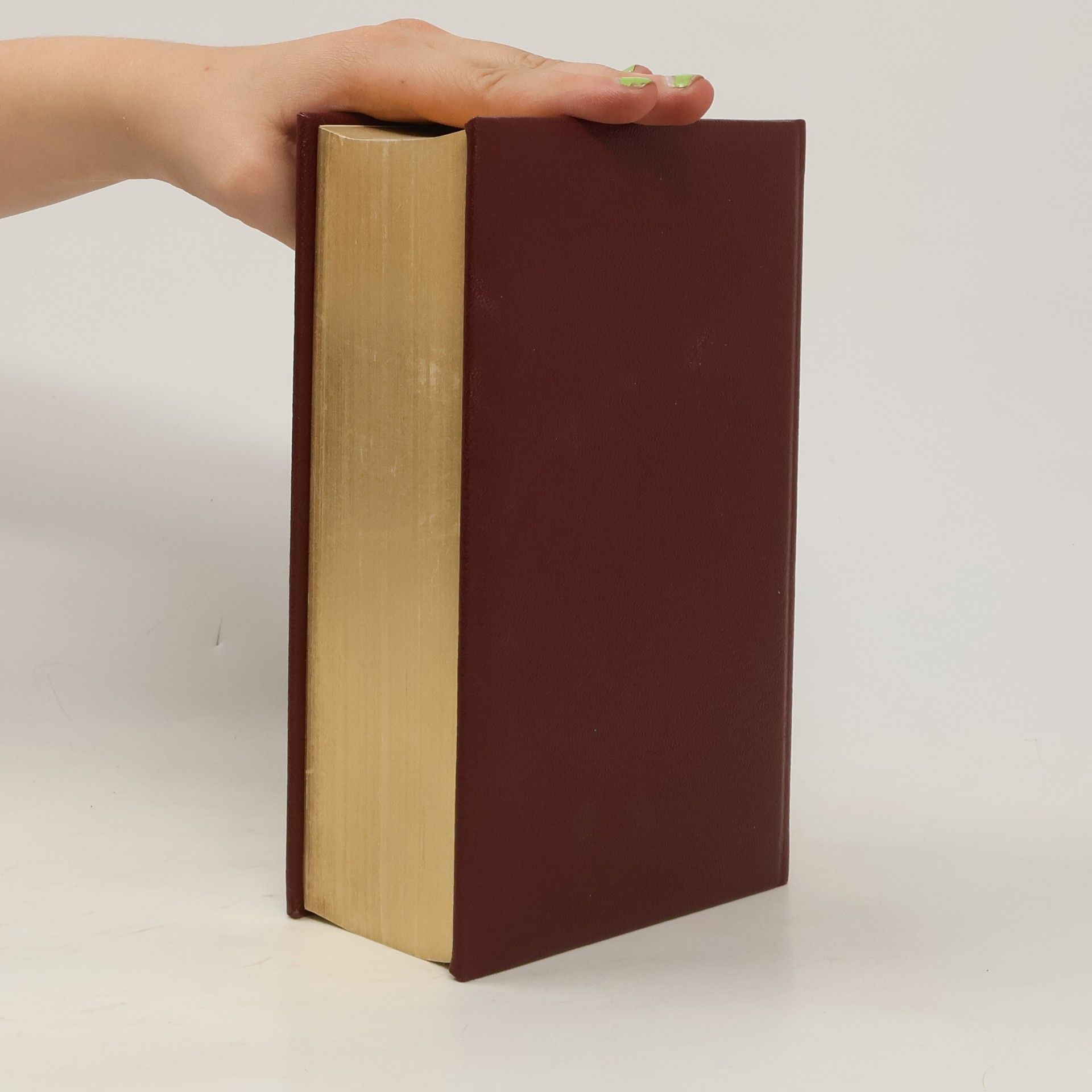 Collectif d'auteurs Die Bibel