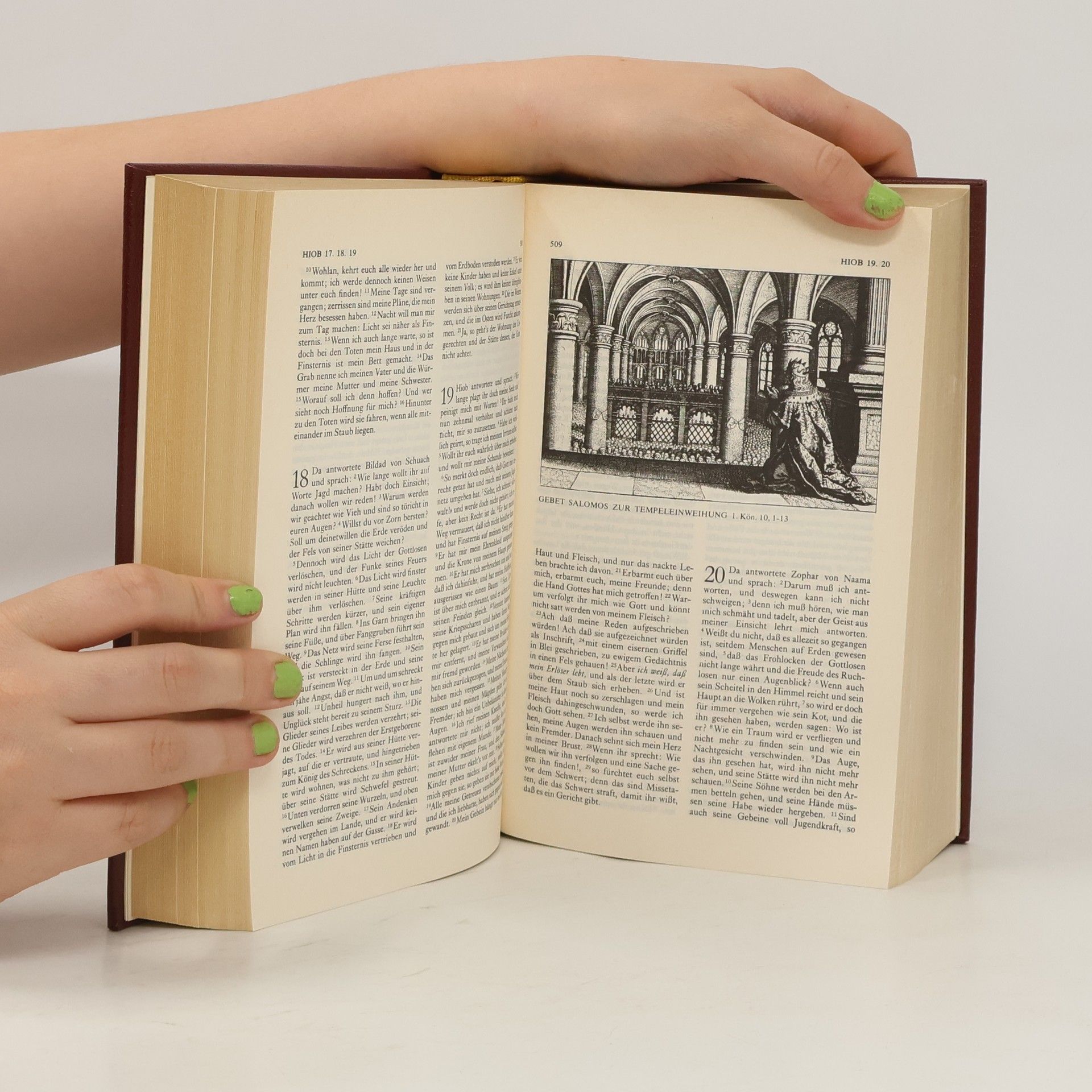Collectif d'auteurs Die Bibel