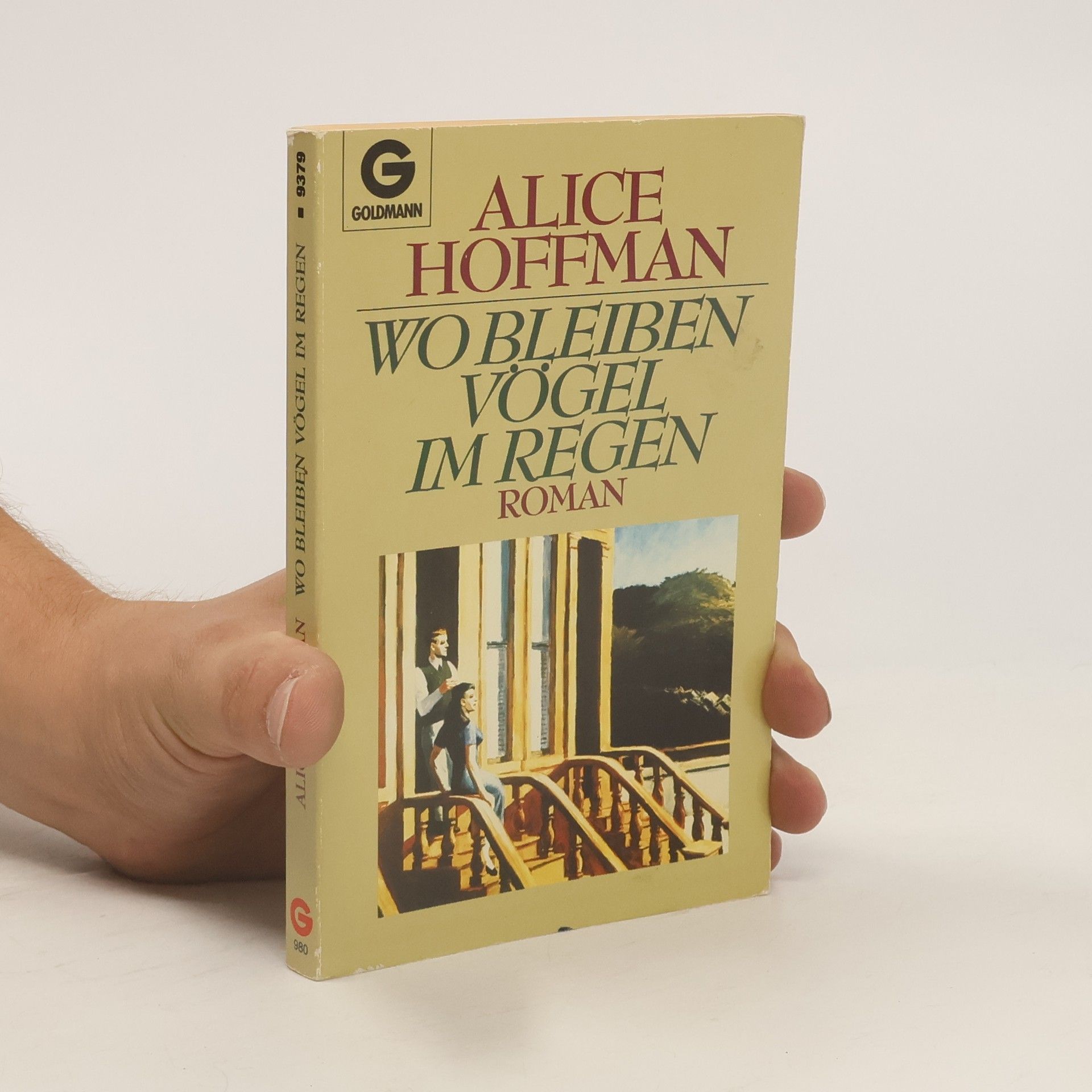 Alice Hoffman Wo bleiben Vögel im Regen