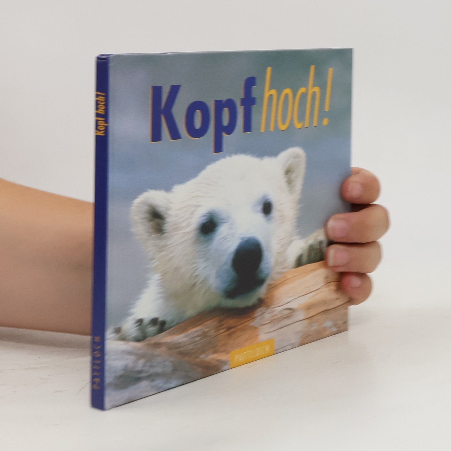 Micha Pawlitzki Kopf hoch!