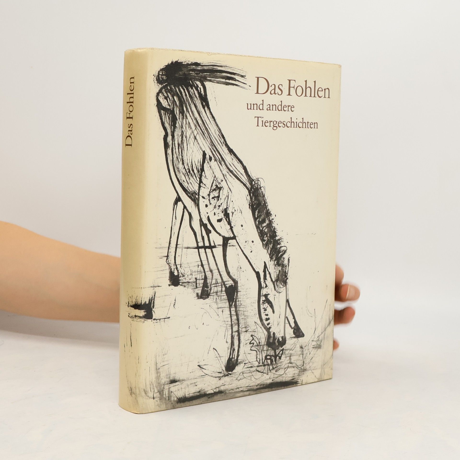 Kolektiv autorů Das Fohlen und andere Tiergeschichten
