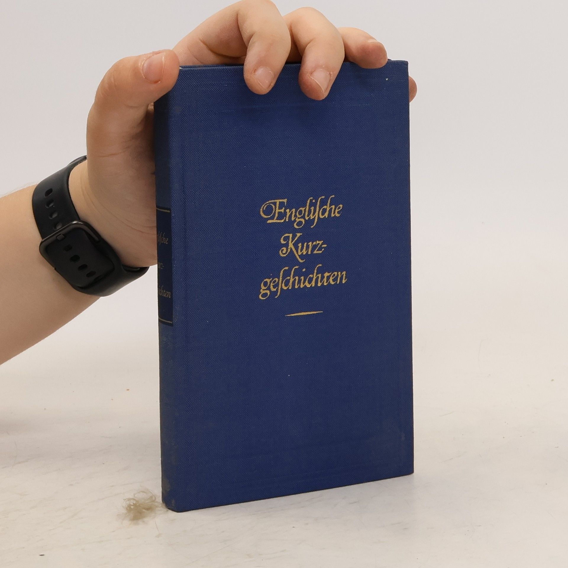 Autorenkollektiv Englische Kurzgeschichten