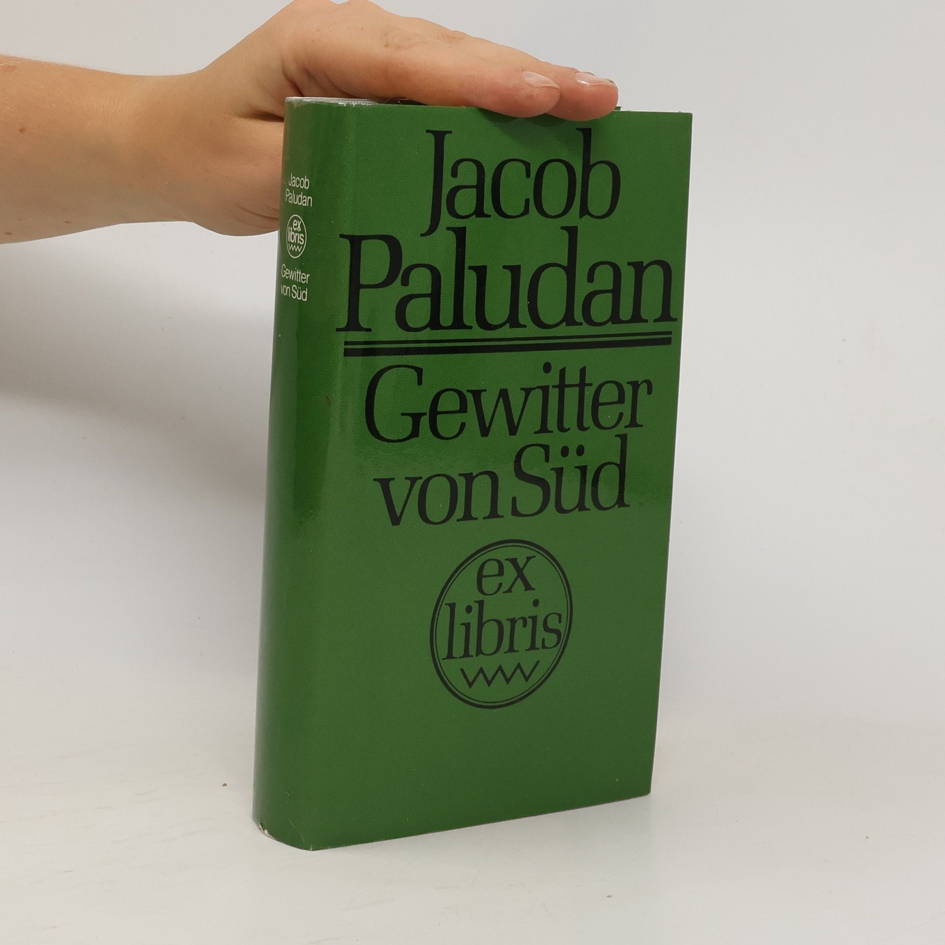 Jacob Paludan Gewitter von Süd