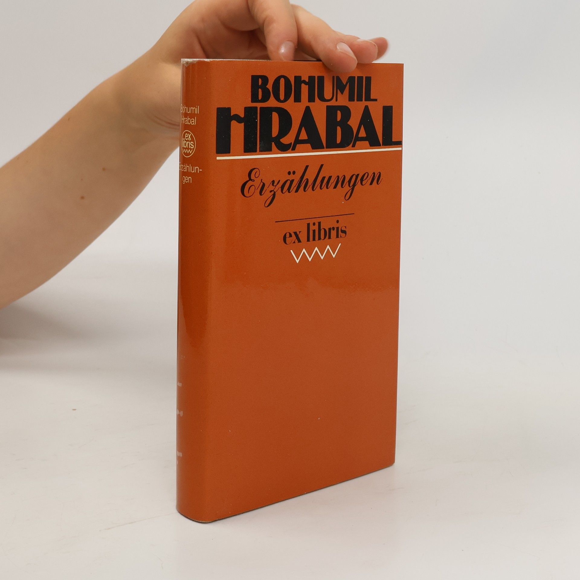 Bohumil Hrabal Erzählungen