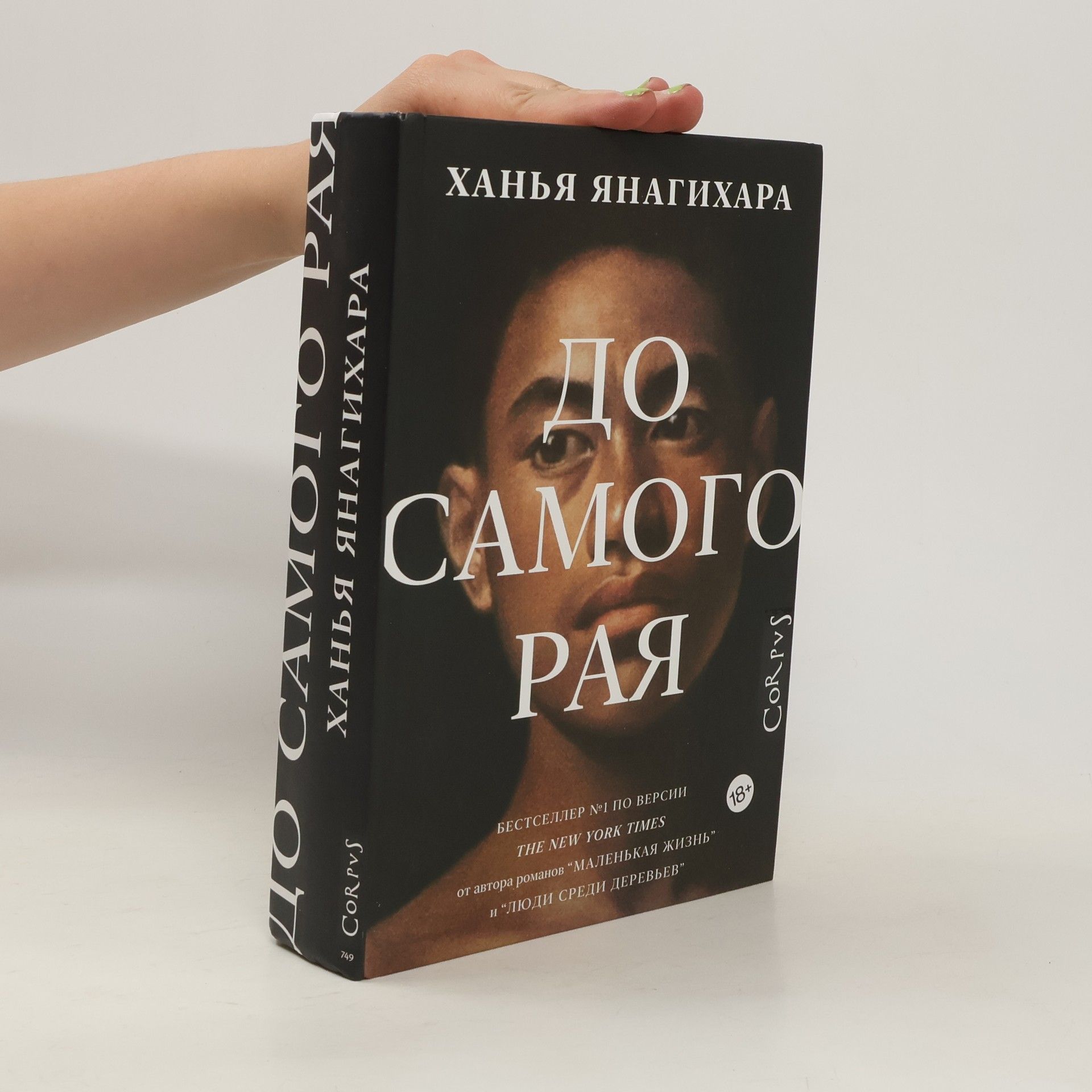 Hanya Yanagihara Do samogo raja