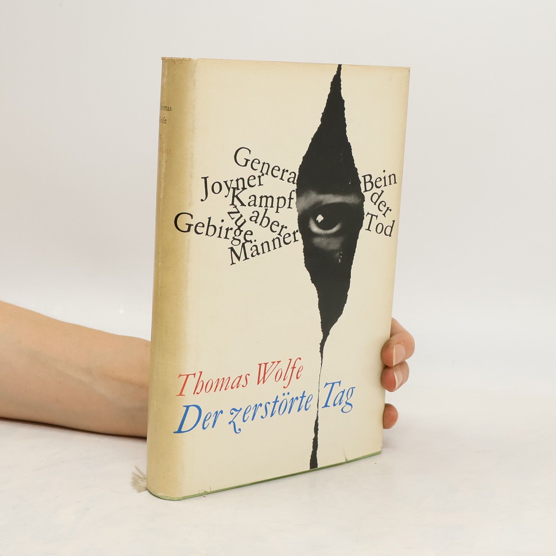 Thomas Wolfe Der zerstörte Tag
