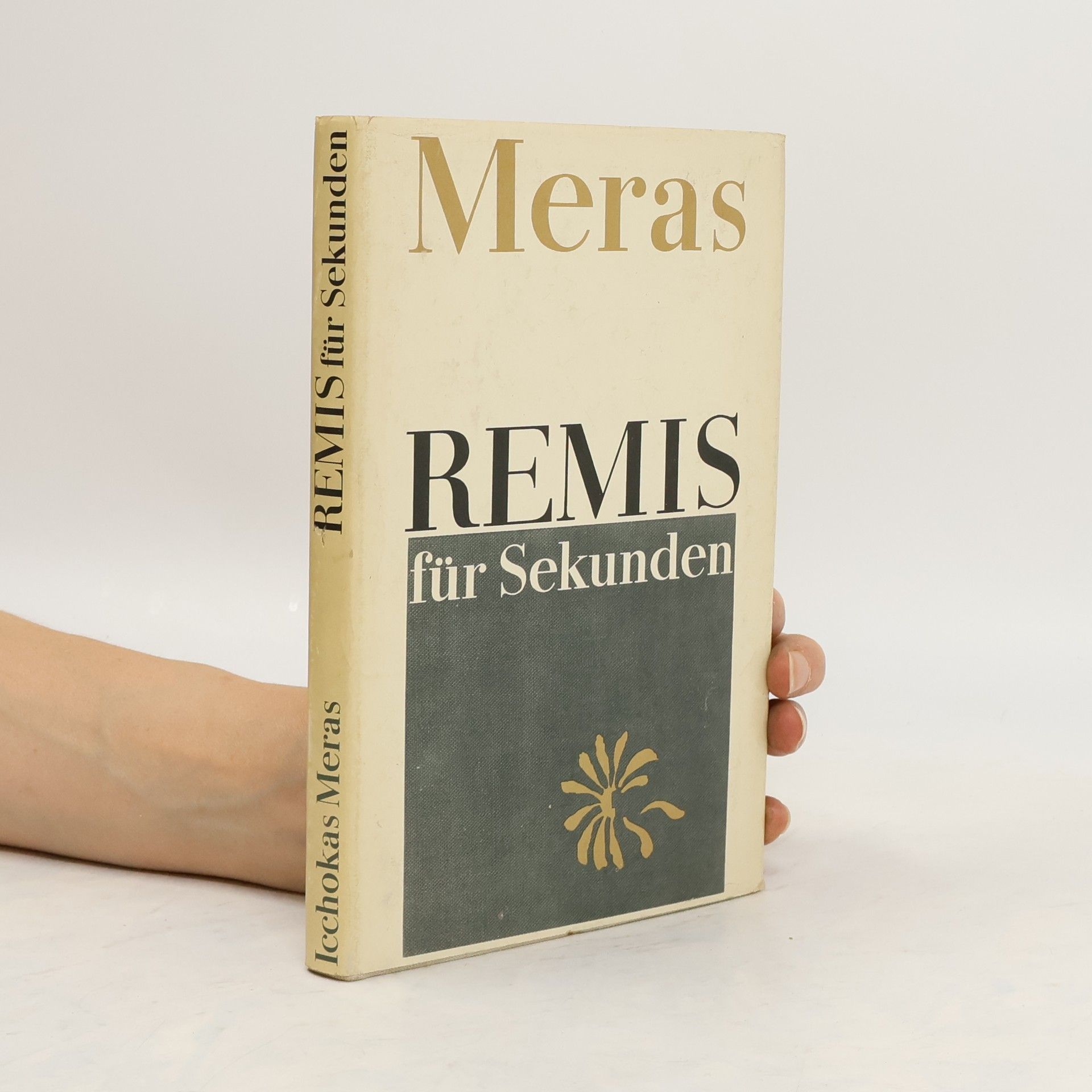 Icchokas Meras Remis für Sekunden