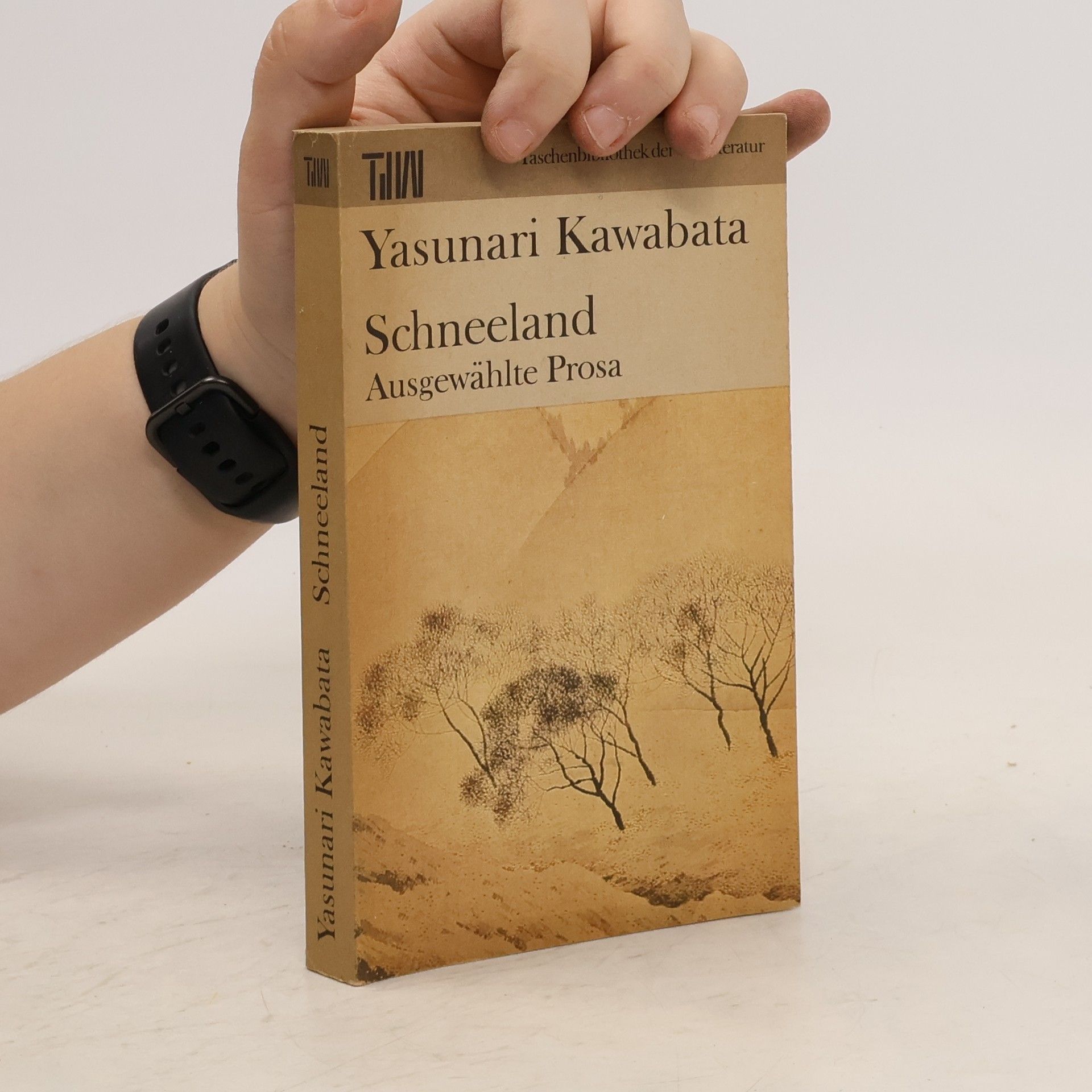 Jasunari Kawabata Schneeland. Ausgewählte Prosa