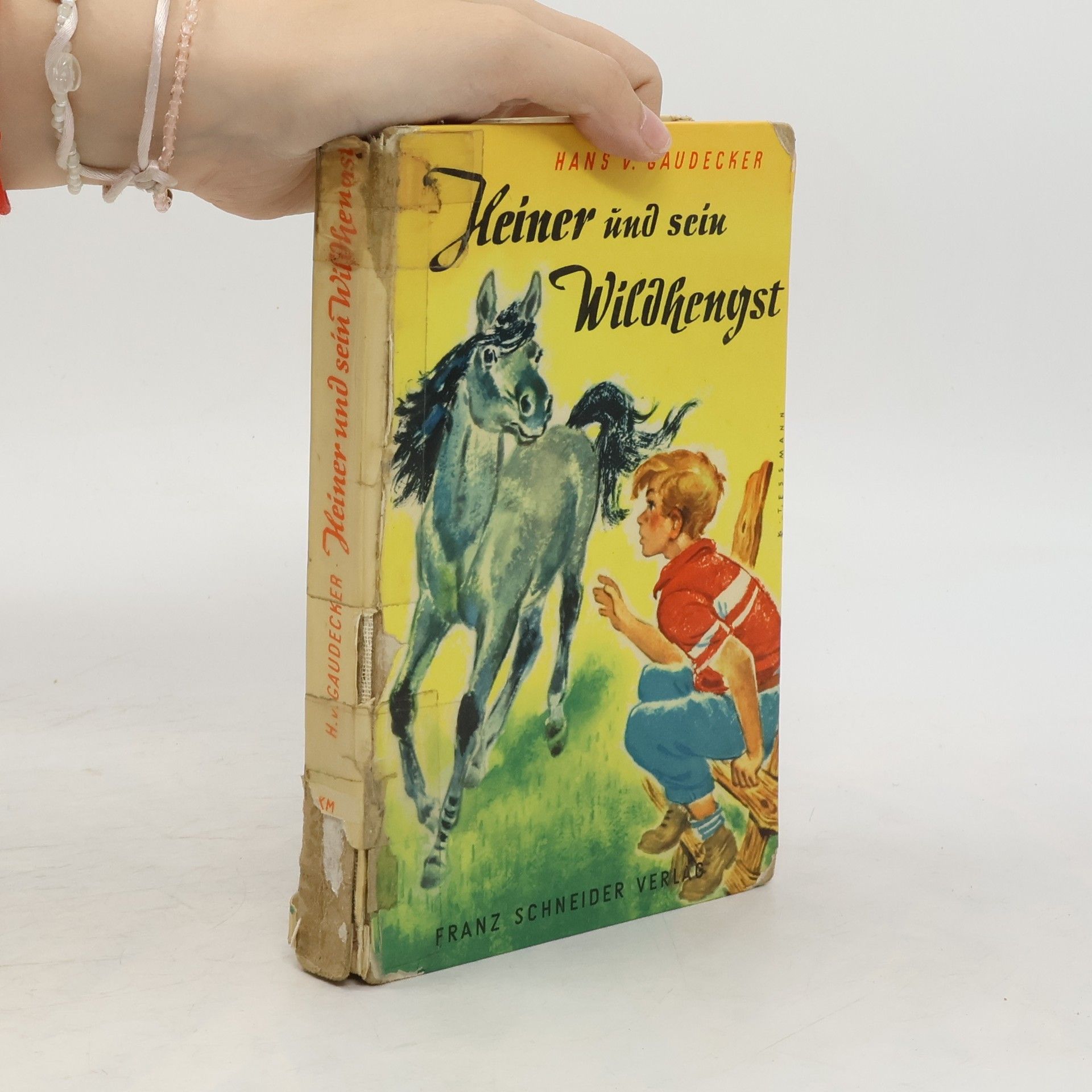 Hans von Gaudecker Heiner Und Sein Wildhengst
