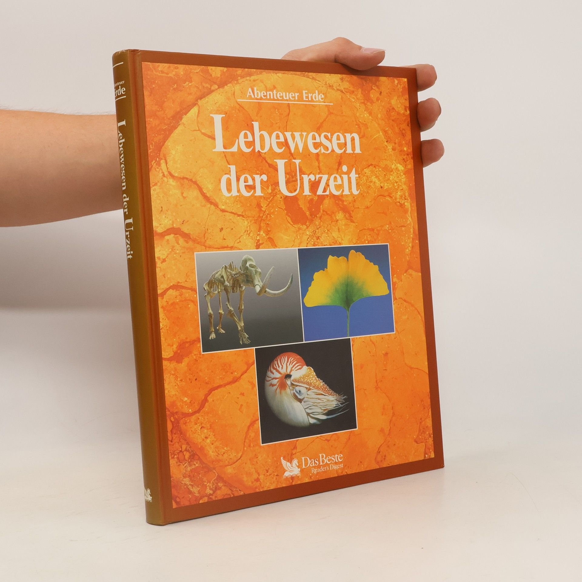 Douglas Palmer Lebewesen der Urzeit