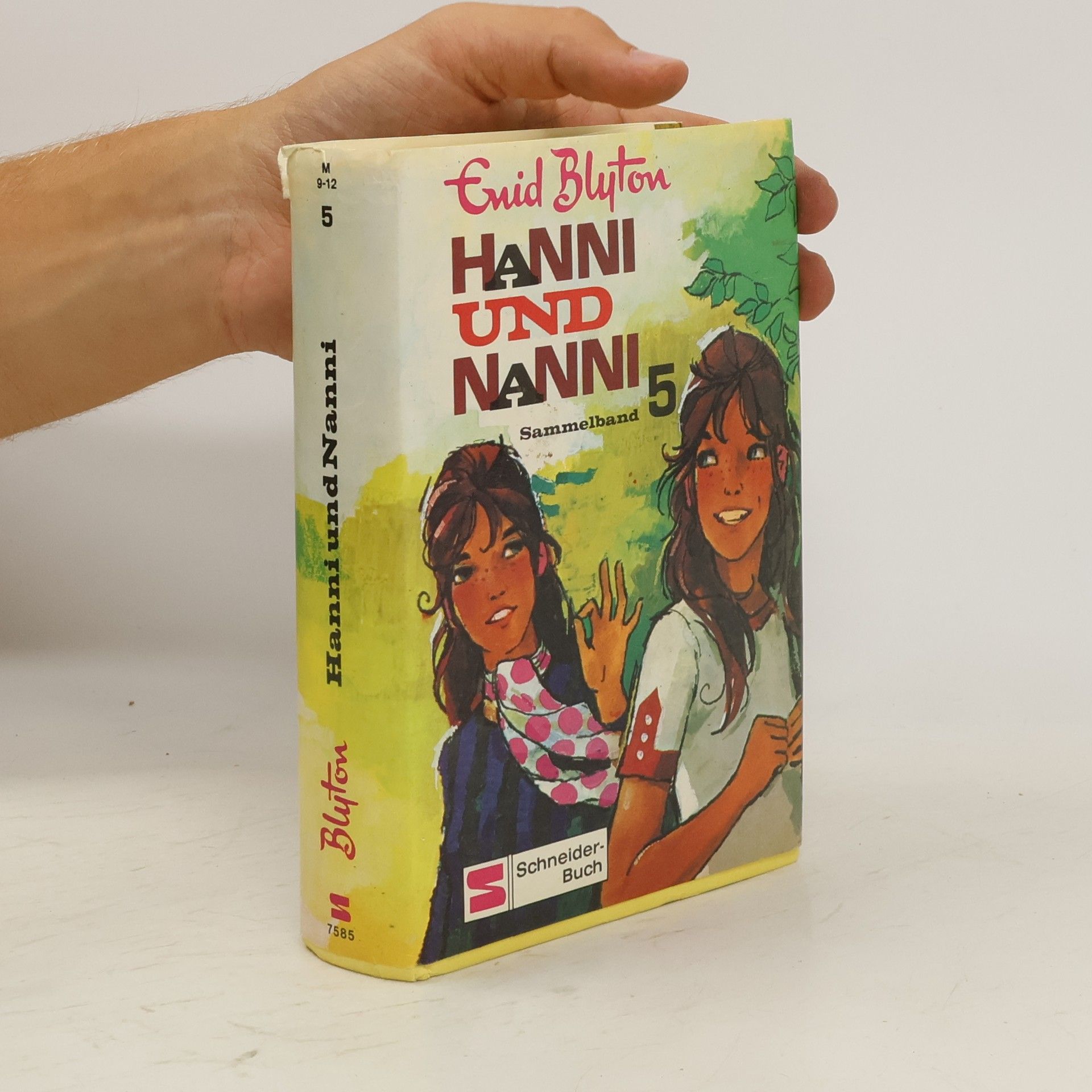 Enid Blyton Hanni und Nanni. Sammelband 5