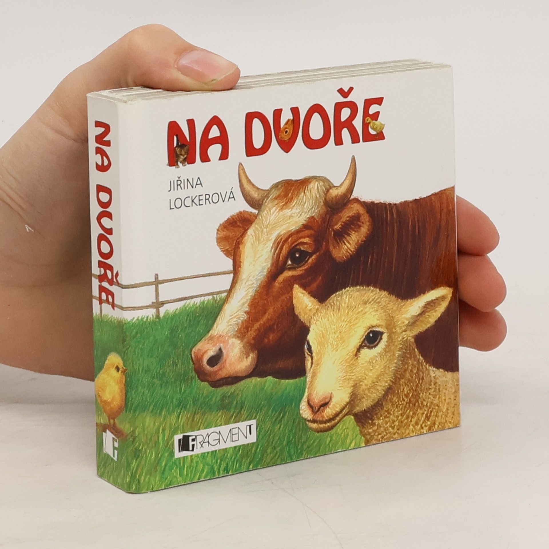 Jiřina Lockerová Na dvoře
