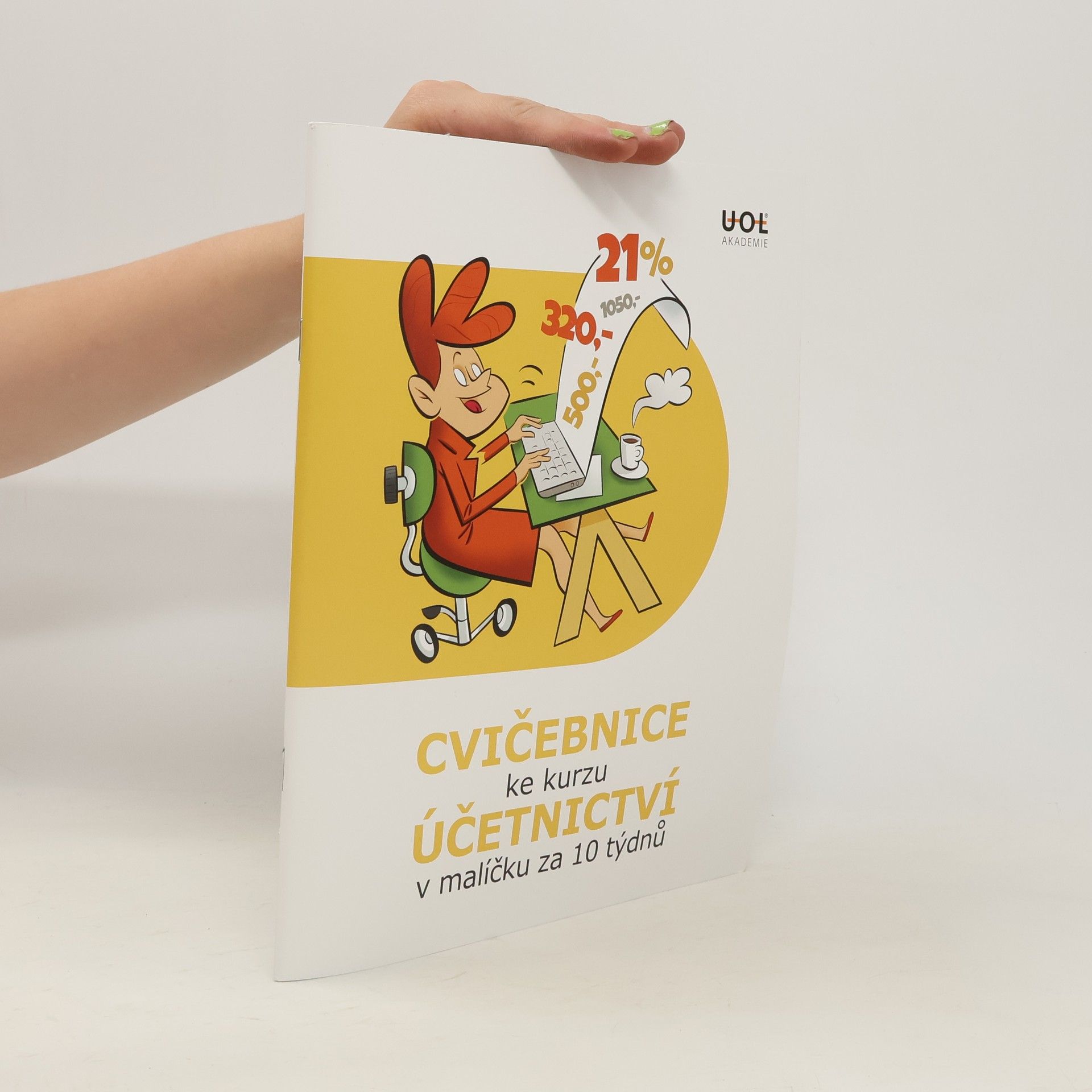 Autorenkollektiv Cvičebnice účetnictví ke kurzu v malíčku za 10 týdnů