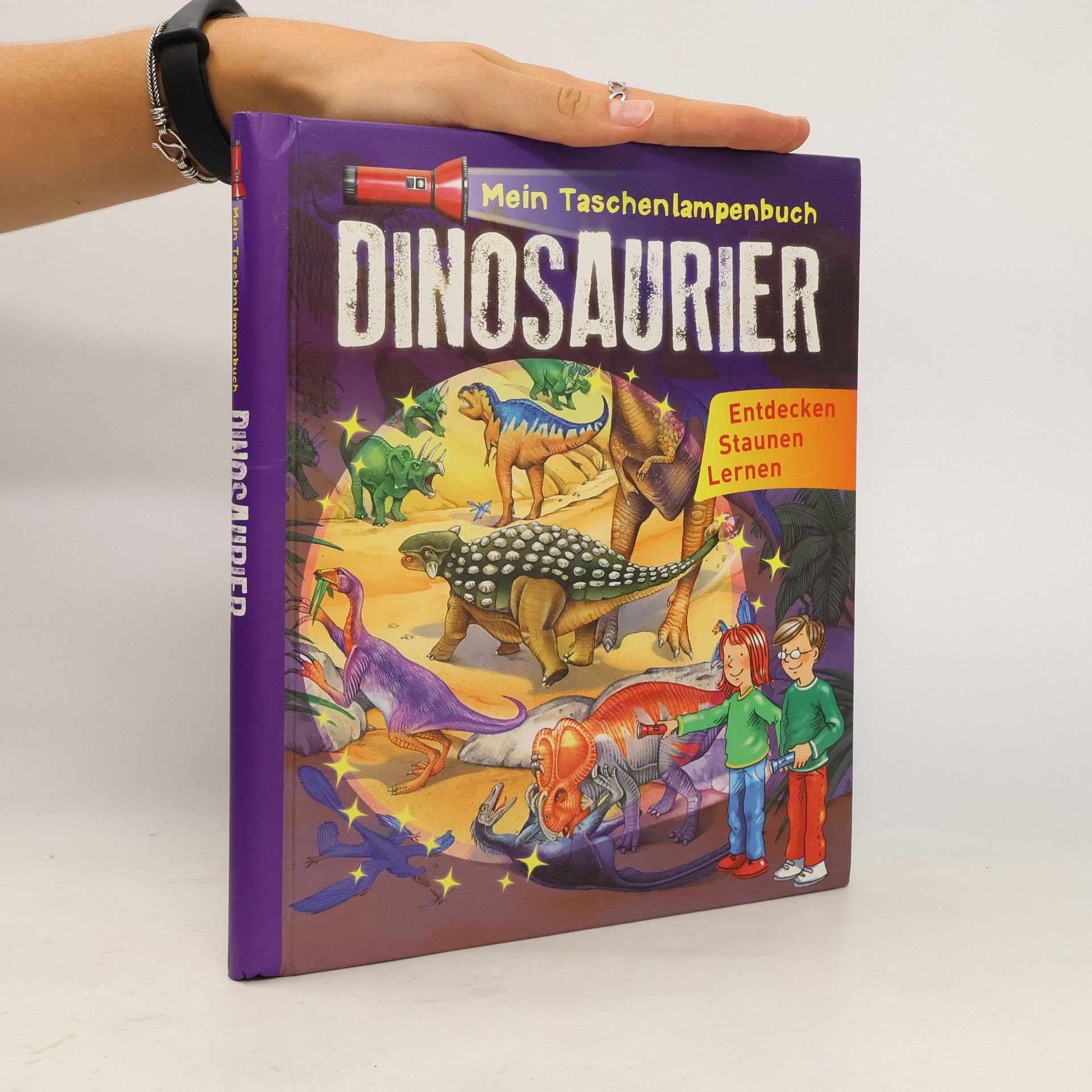 Collectif d'auteurs Mein Taschenlampenbuch Dinosaurier