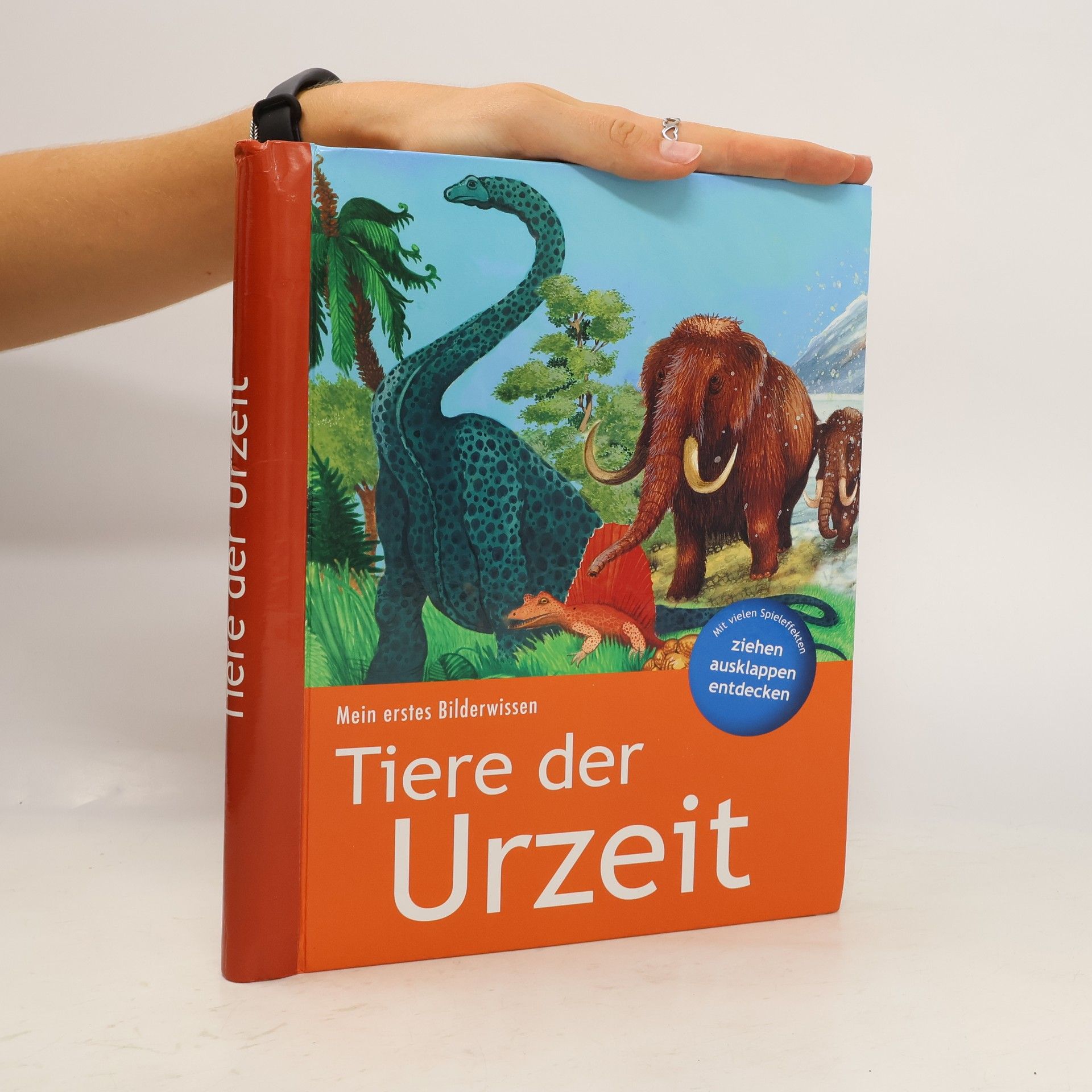 Collective Tiere der Urzeit