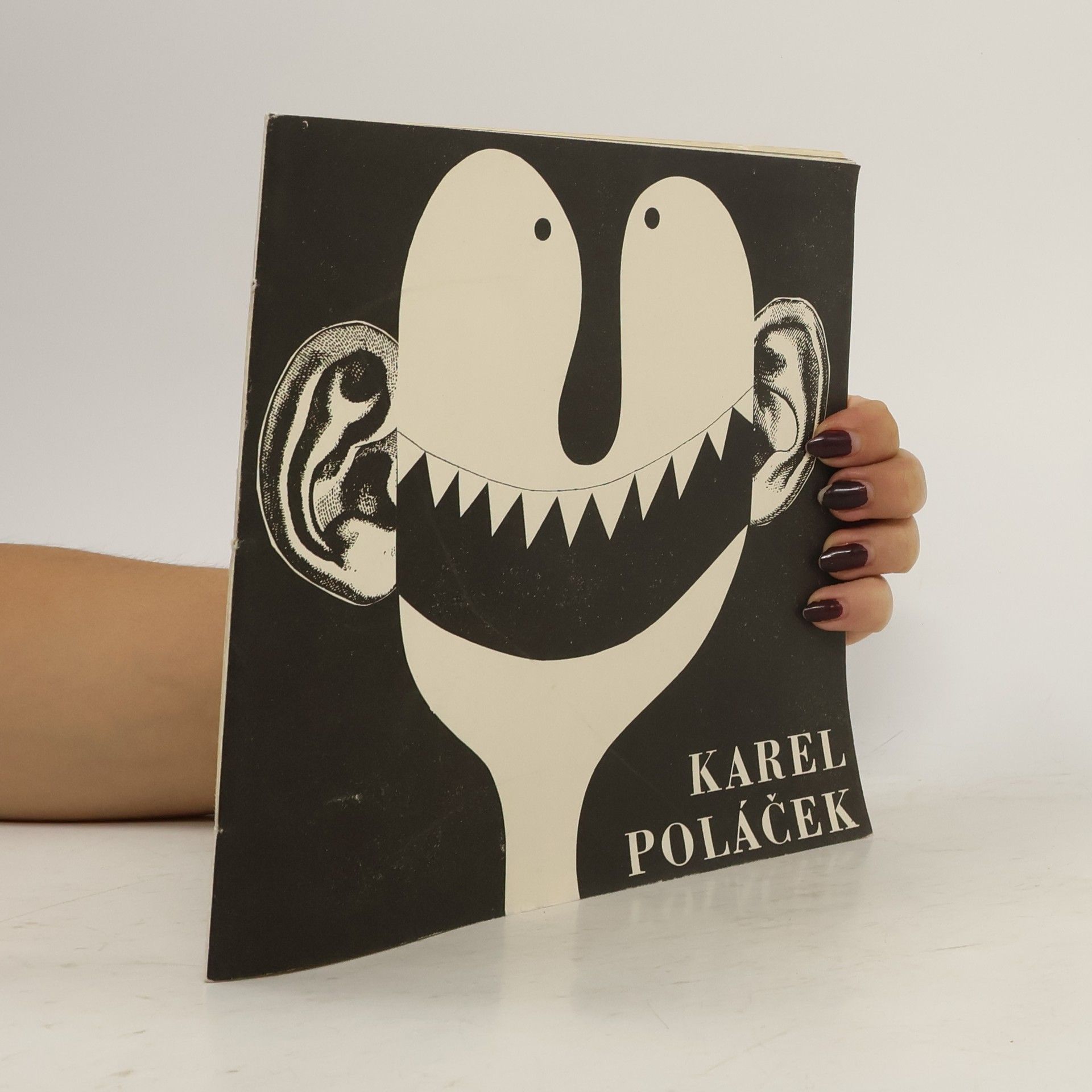 Collectif d'auteurs Karel Poláček