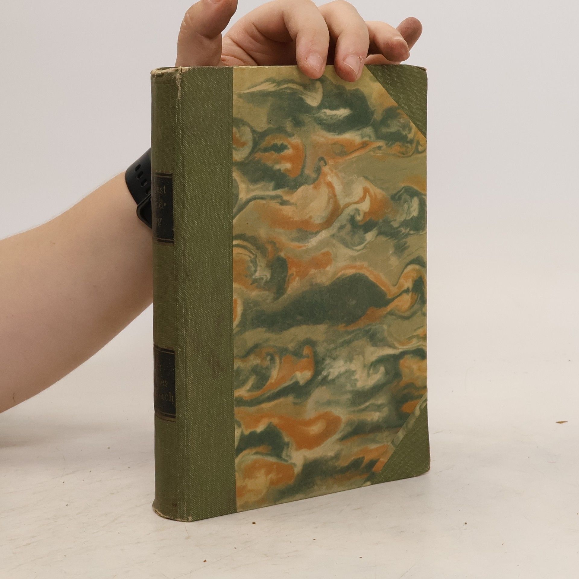 August Strindberg Ein Drittes Blaubuch