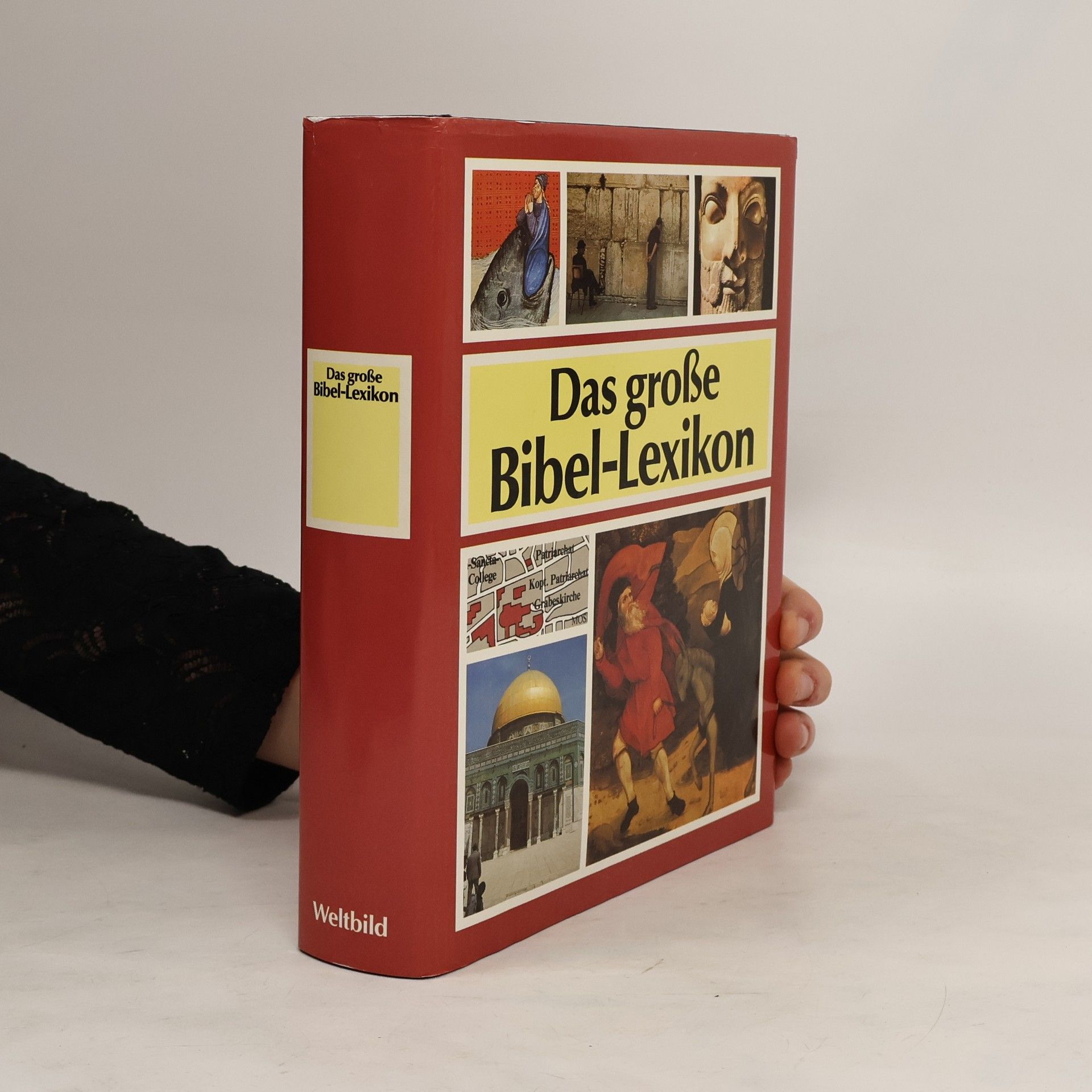 Auteurscollectief Das große Bibel-Lexikon