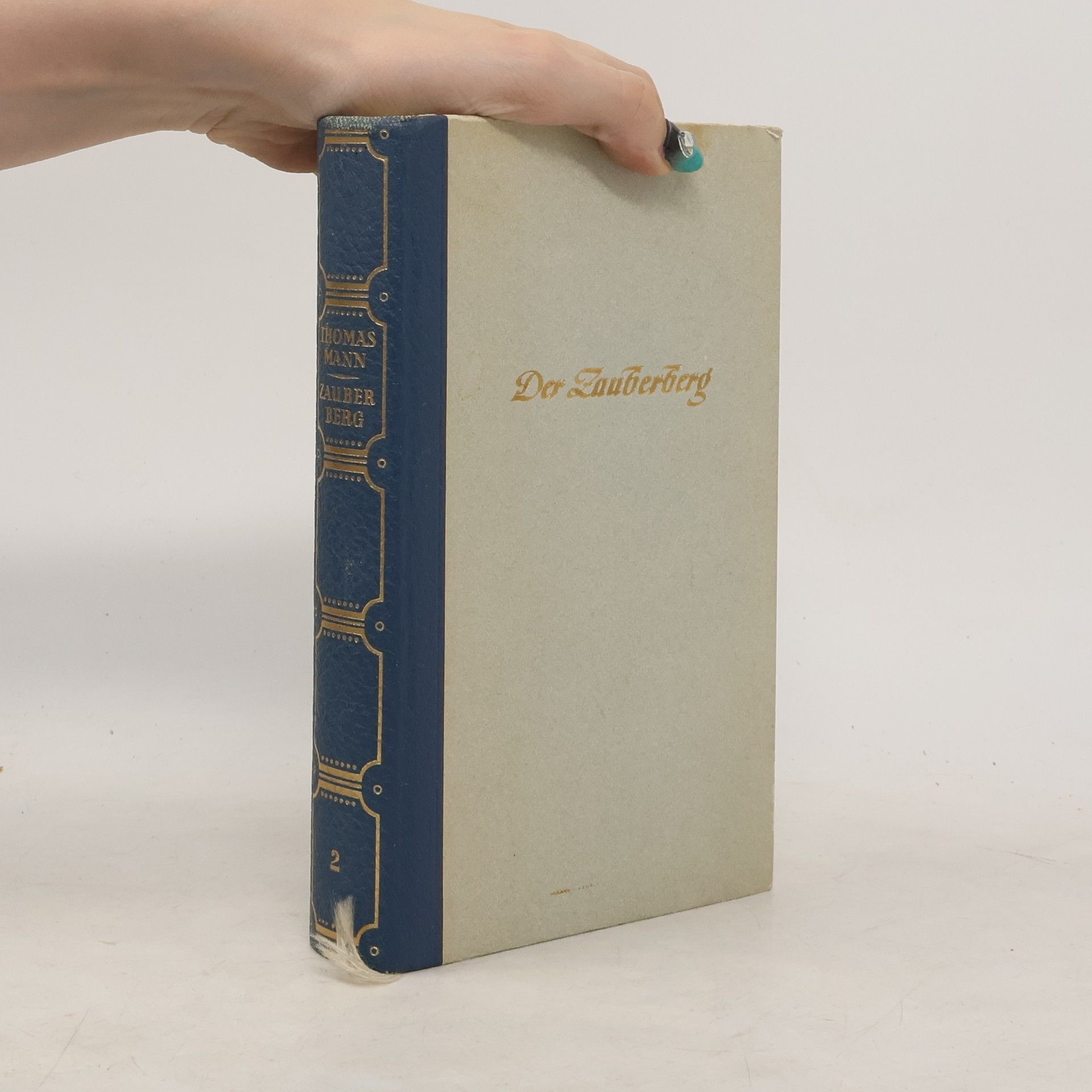 Thomas Mann Der Zauberberg 2