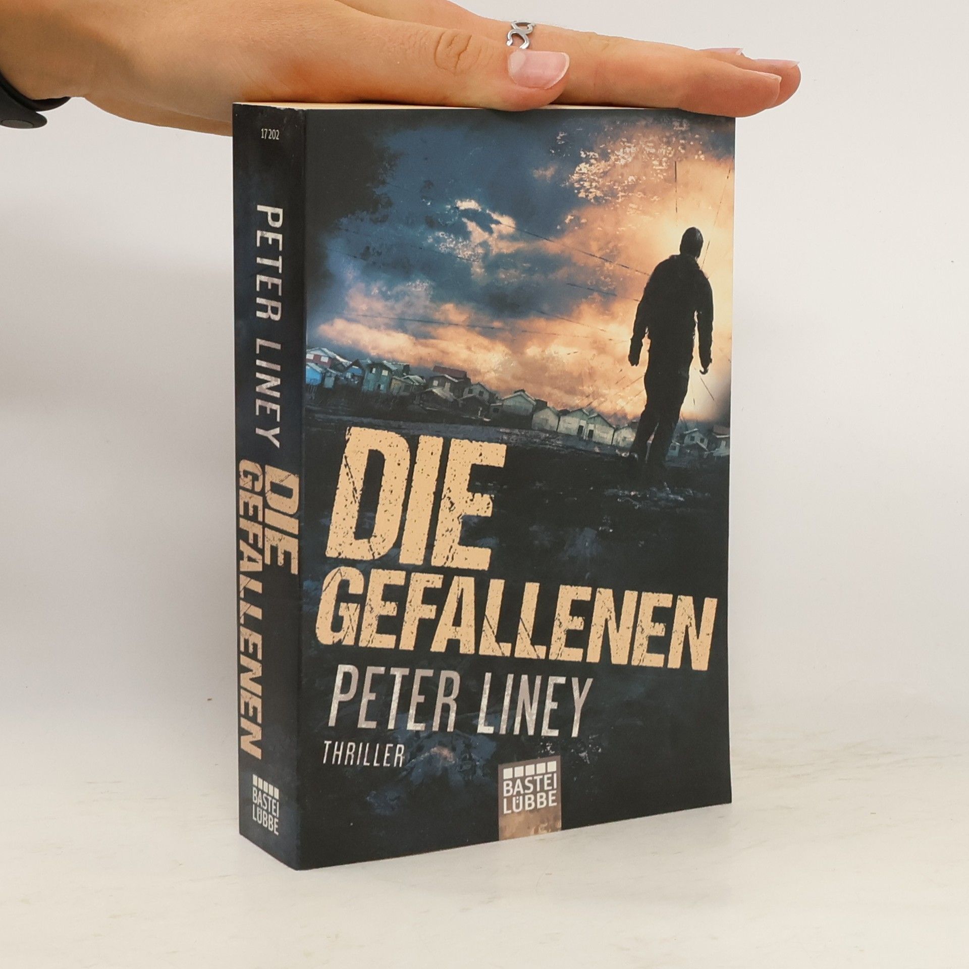 Peter Liney Die Gefallenen