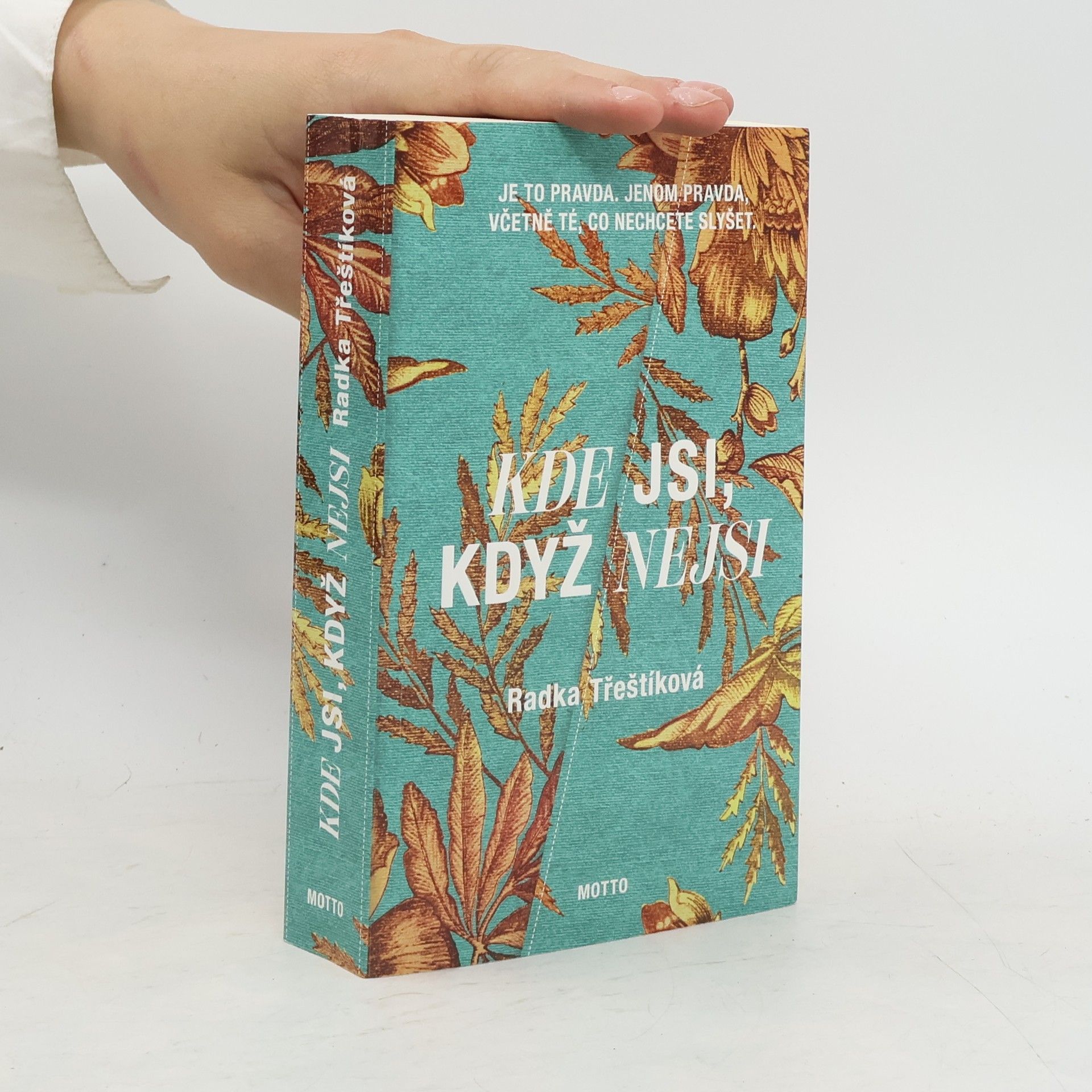 Radka Třeštíková Kde jsi, když nejsi