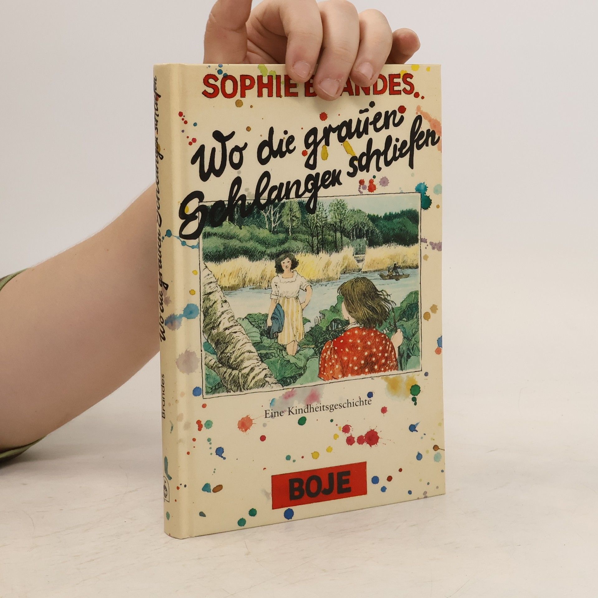 Sophie Brandes Wo die grauen Schlangen schliefen