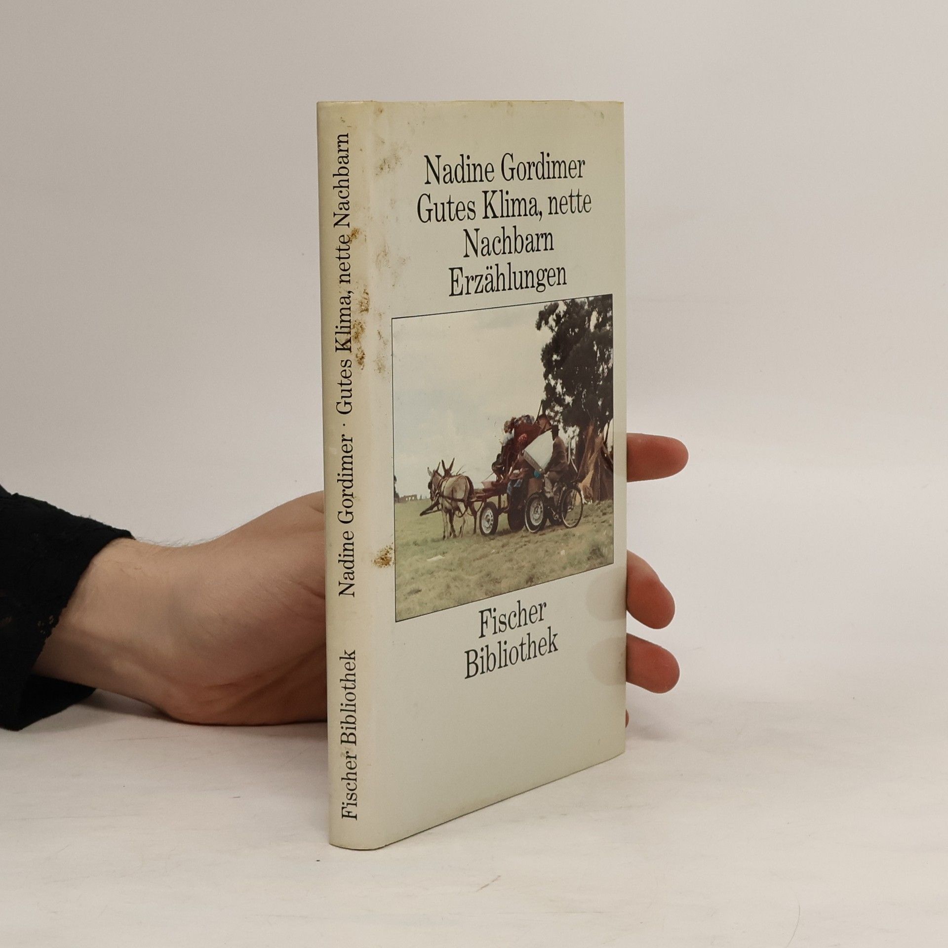 Nadine Gordimer Gutes Klima, nette Nachbarn