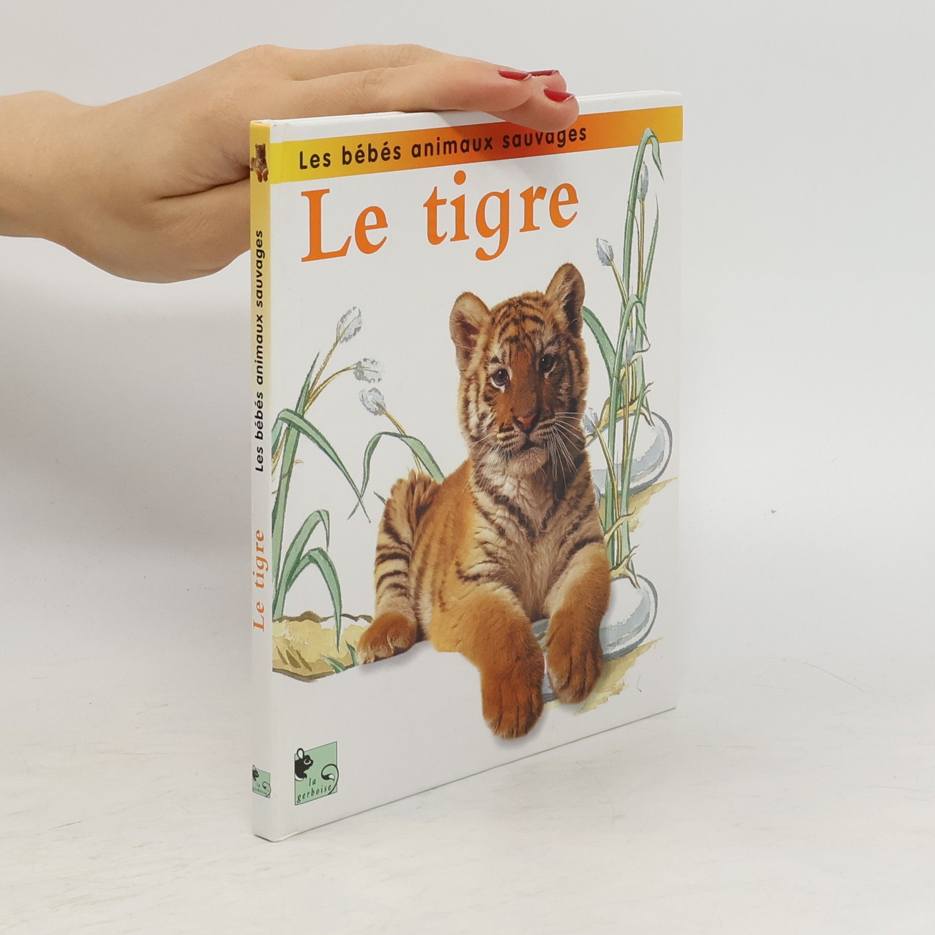 Jinny Johnson Les bébés animaux sauvages: Le tigre